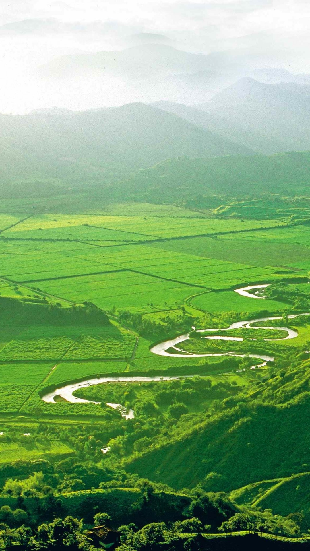 Colombia 5K wallpaper, Valle de Cocora, Majestic mountains, Tranquil river, 1080x1920 Full HD Phone