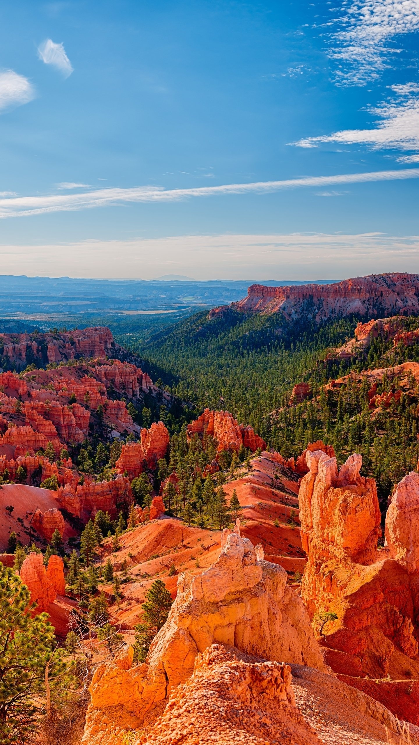 Earth, Bryce Canyon National Park, Natural wonders, National parks, 1440x2560 HD Phone