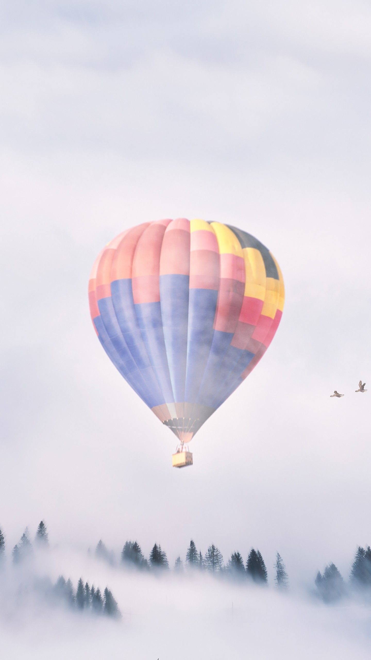 Misty balloon scenes, Aerial mist, Nature's beauty, Serenity in the air, 1440x2560 HD Phone