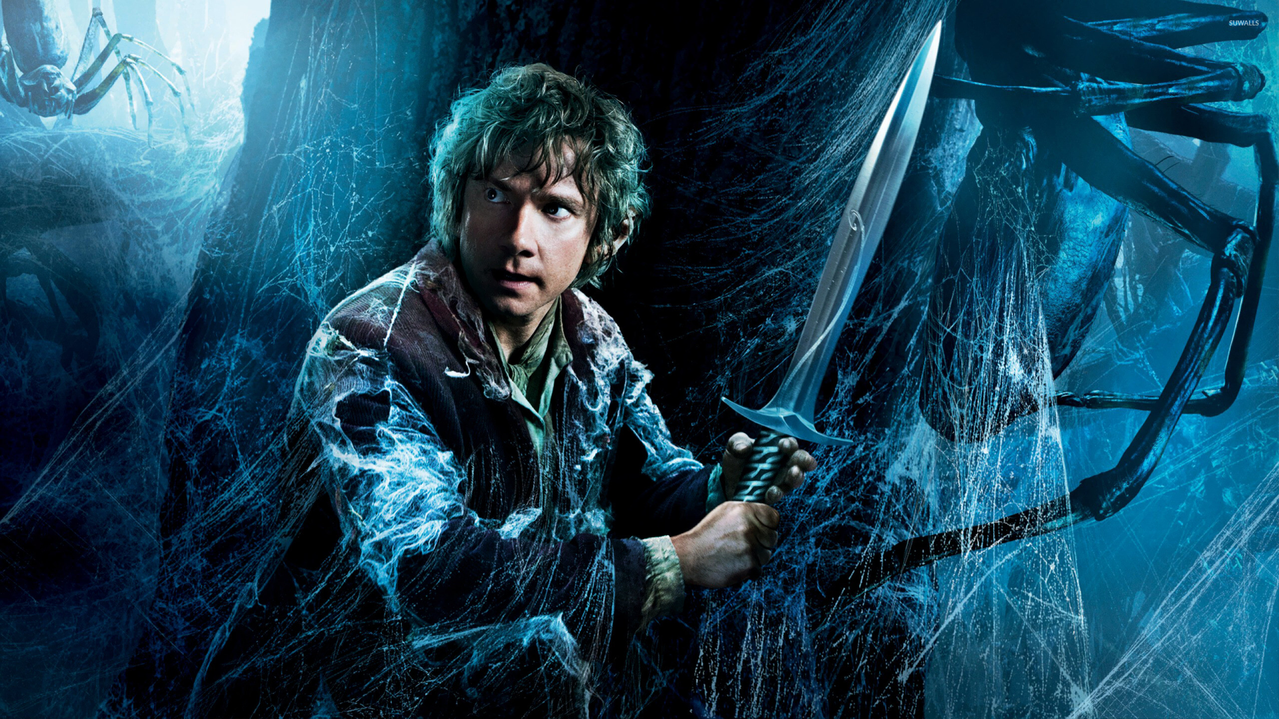 Bilbo, Desolation of Smaug, Wallpaper, Movie wallpapers, 2560x1440 HD Desktop