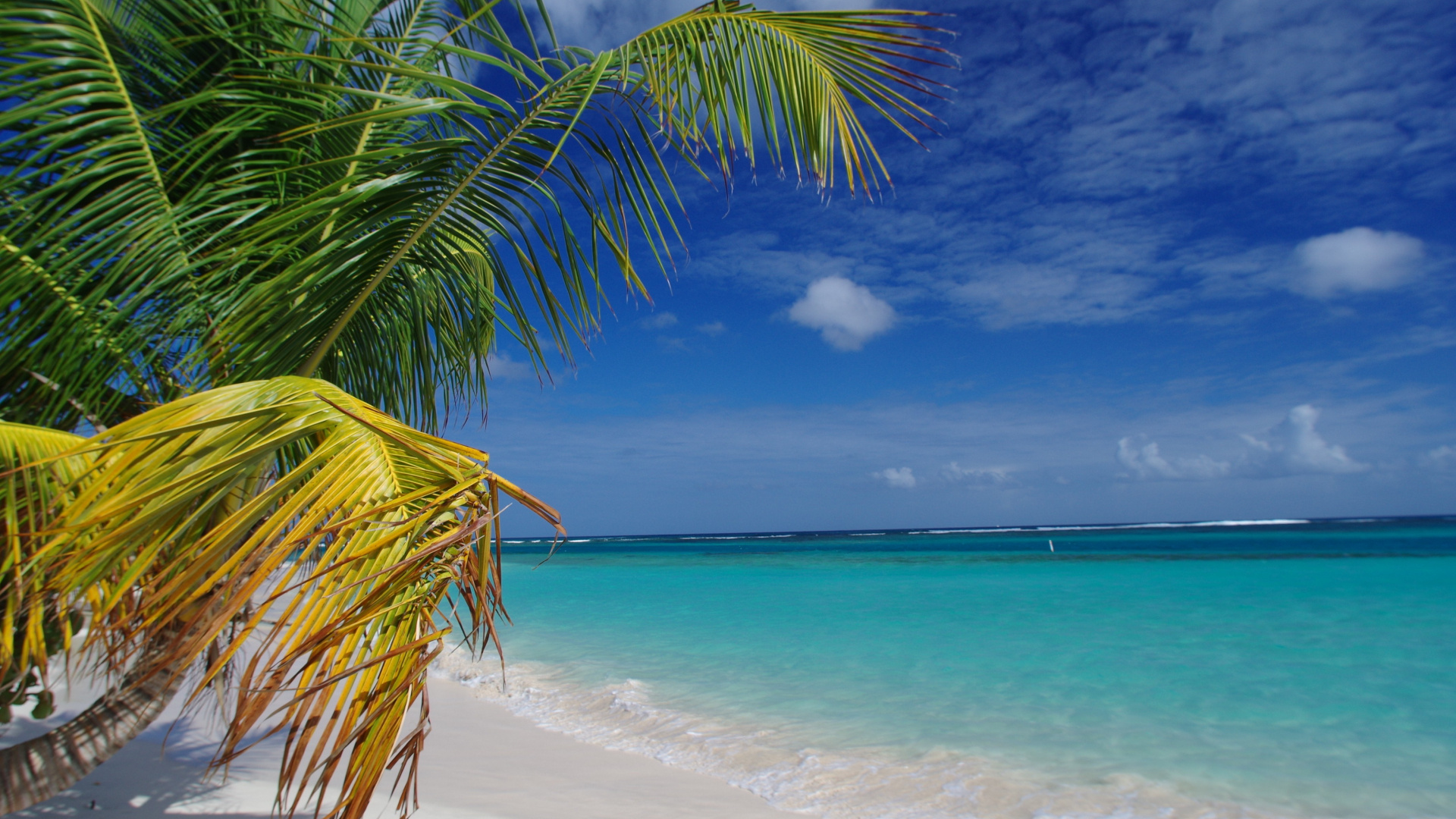 Free download wallpaper, Flamenco beach, Puerto Rico, 1920x1080 Full HD Desktop