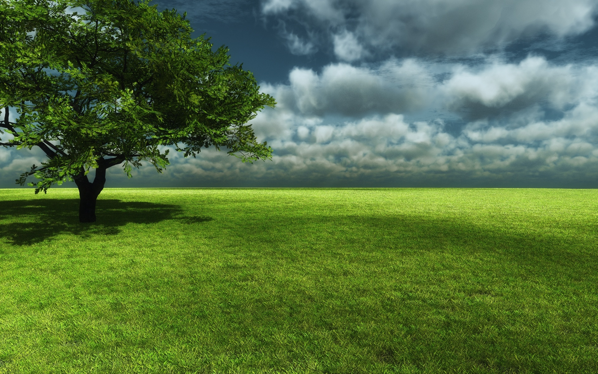 Grassland wallpaper, Natural vistas, Serene landscapes, Tranquil ambiance, 1920x1200 HD Desktop