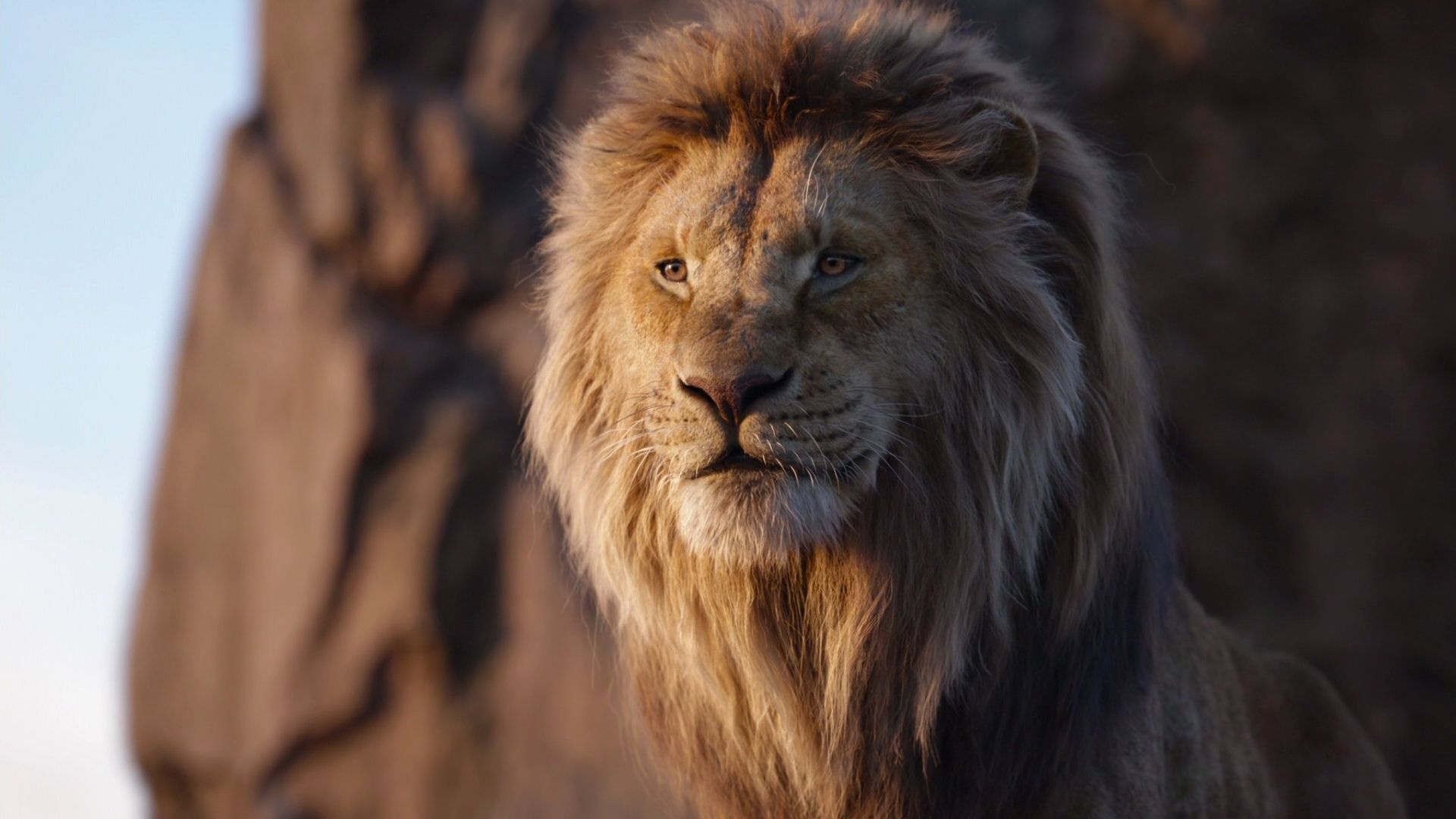 The Lion King movie, Disney fandom, Beloved characters, Memorable moments, 1920x1080 Full HD Desktop