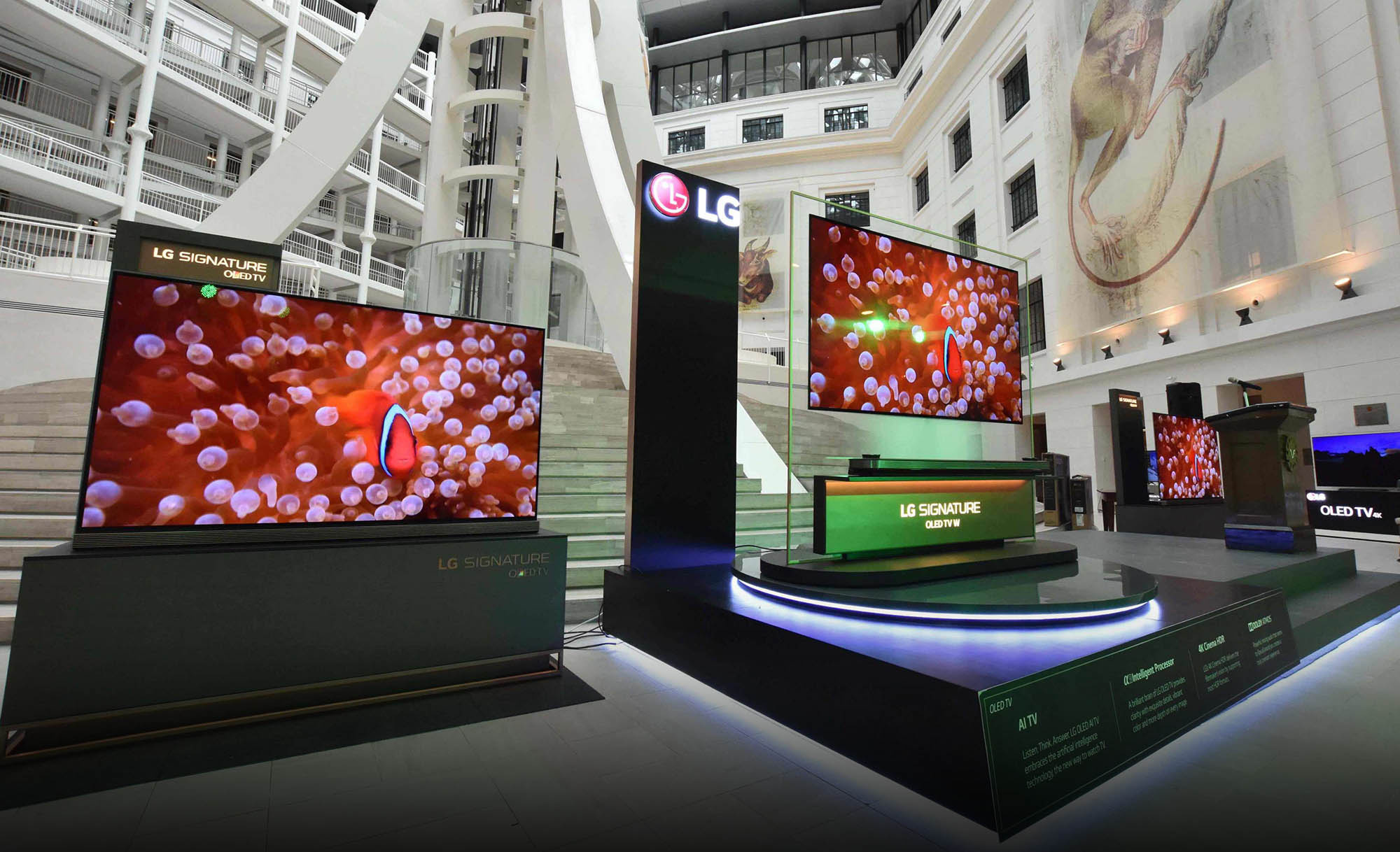 LG OLED Wallpaper TV W8, National Museum of Natural History, 2000x1220 HD Desktop