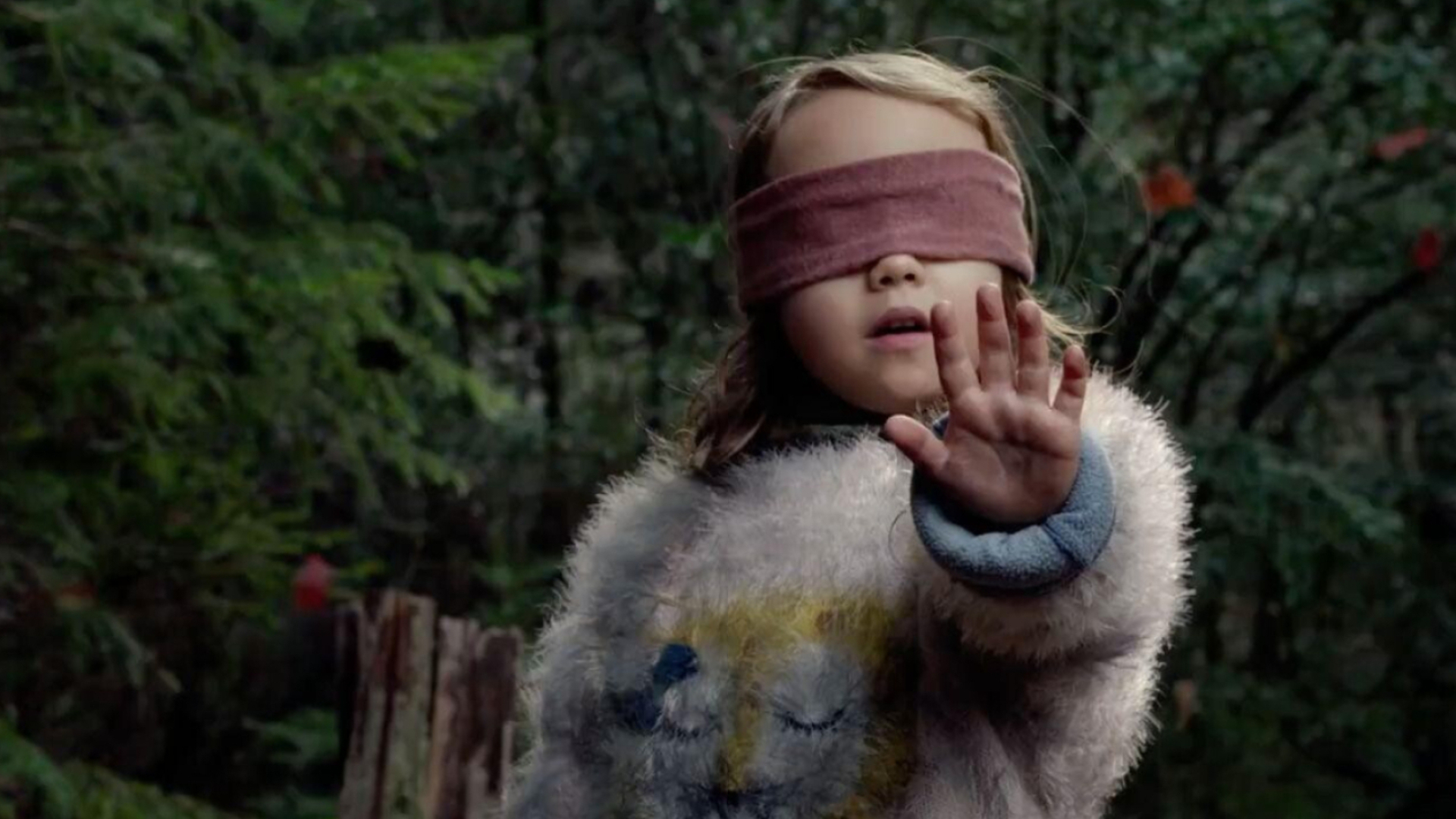 Bird Box, Mysterious film, Compelling visuals, Intriguing plot, 1920x1080 Full HD Desktop