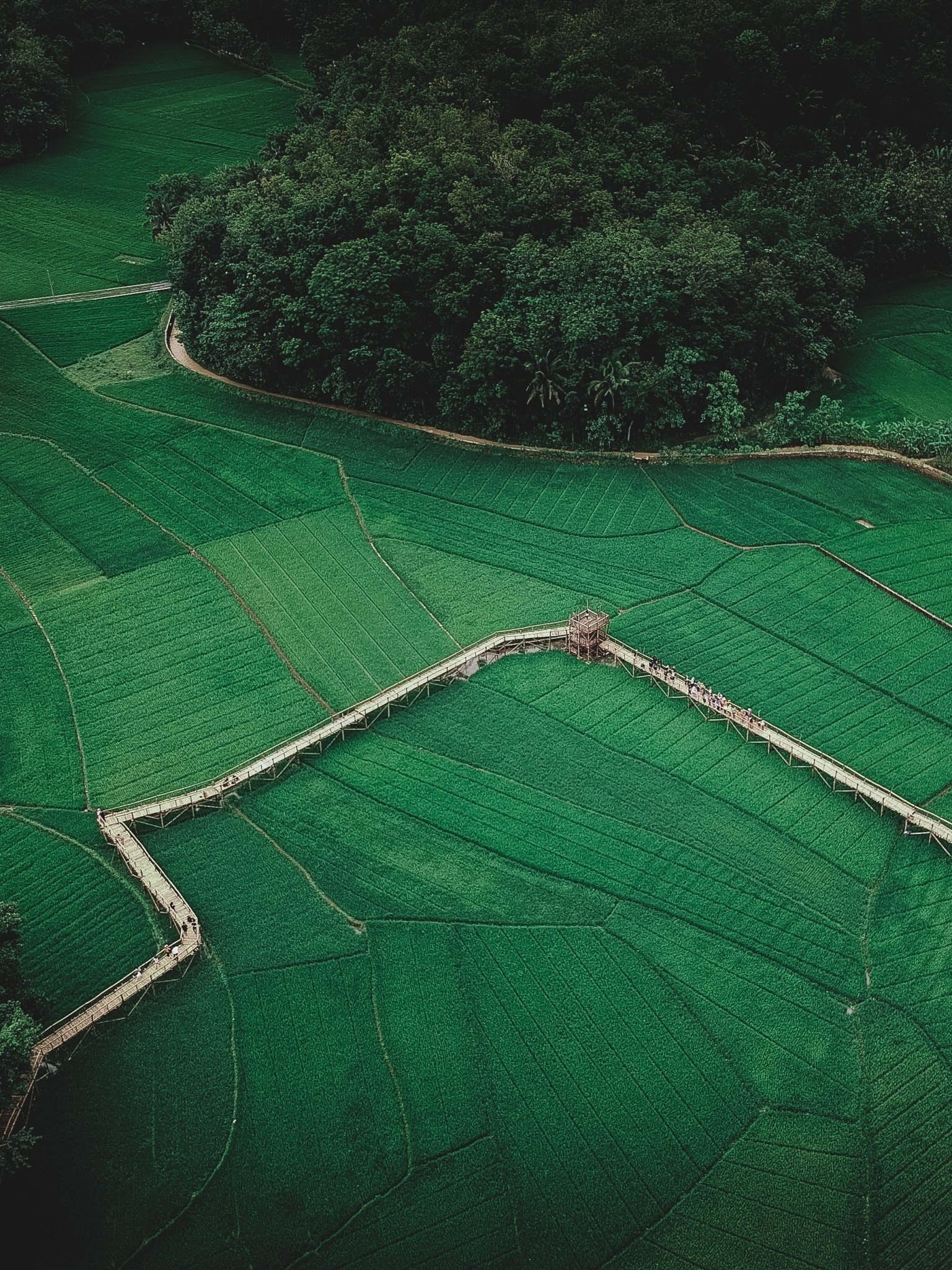 Farm life, Countryside beauty, Agriculture harvest, Nature's bounty, 1540x2050 HD Phone