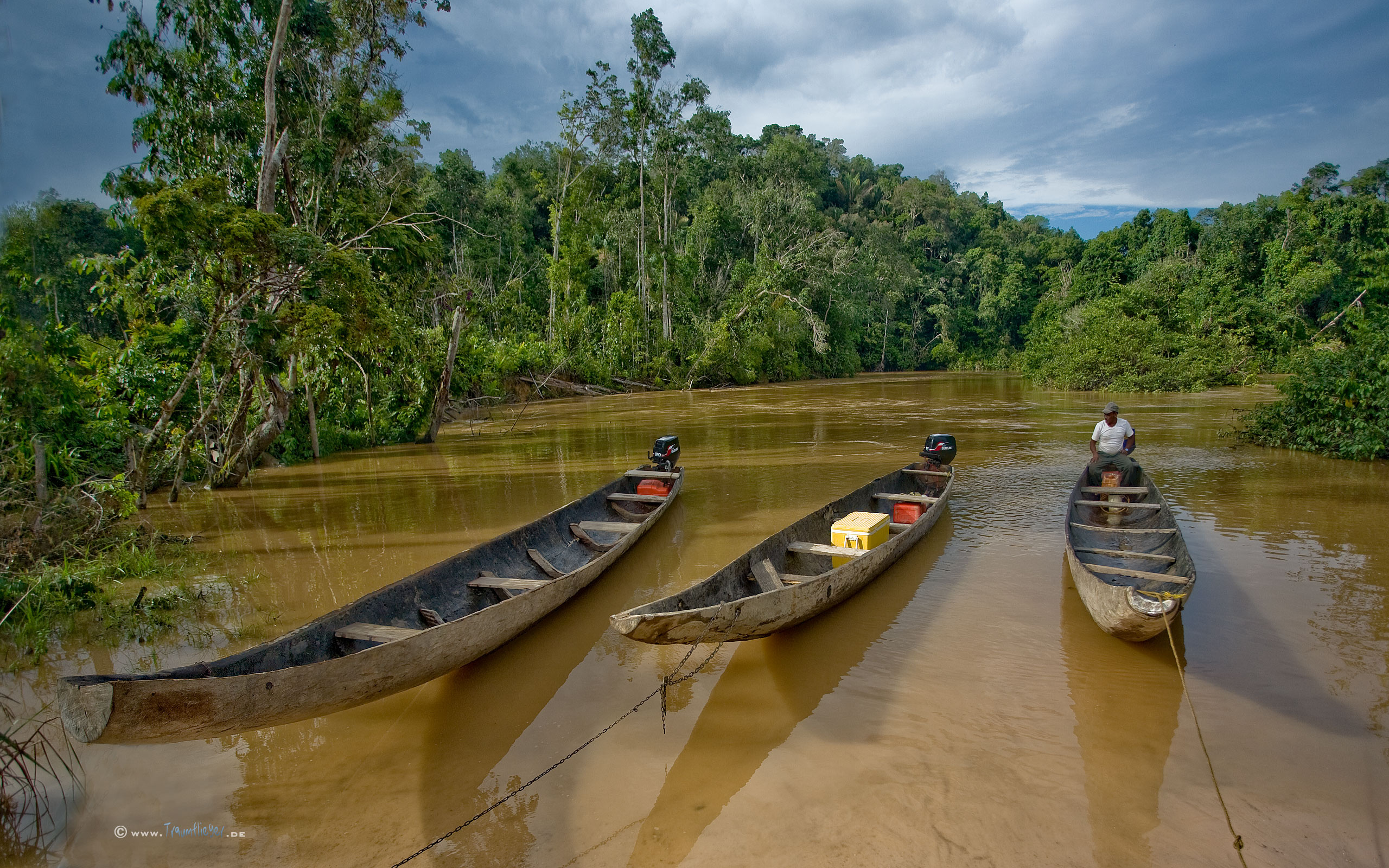 Suriname travels, Captivating wallpapers, Desktop backgrounds, Visual inspiration, 2560x1600 HD Desktop