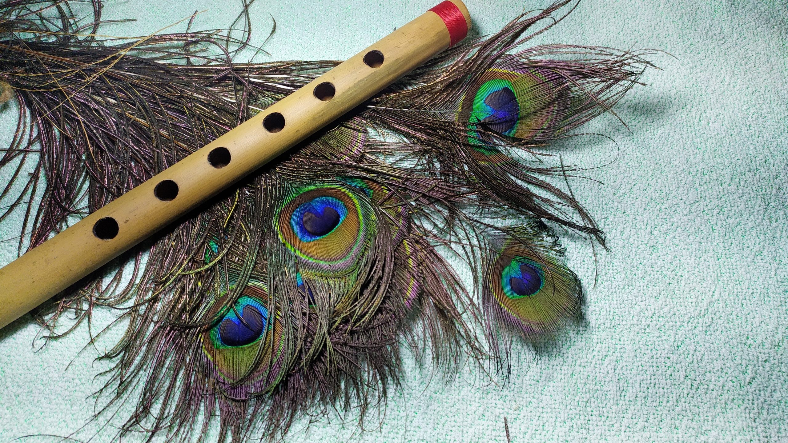 Flute on feathers, Whimsical image, Delicate melodies, Enchanting music, 2560x1440 HD Desktop