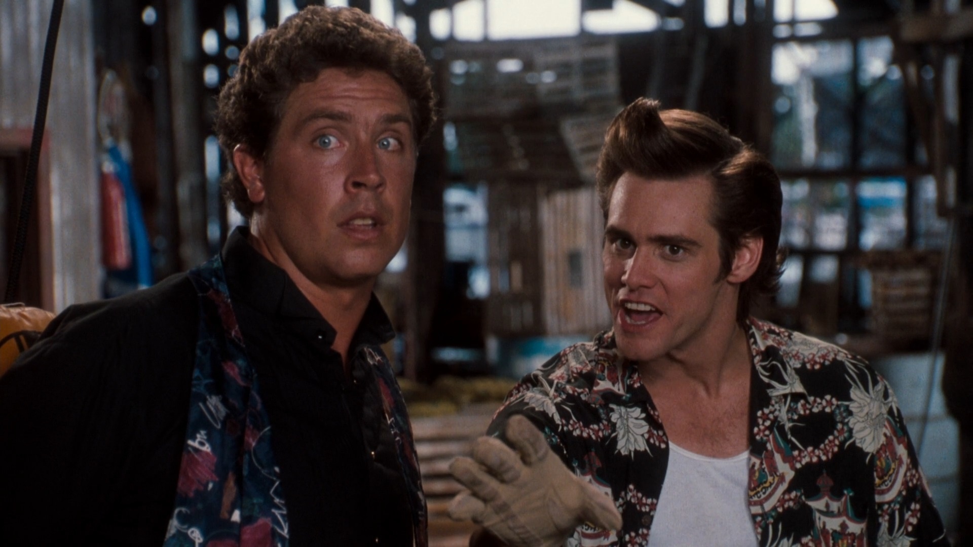 Ace Ventura, Pet detective image, 8reggies, 1920x1080 Full HD Desktop