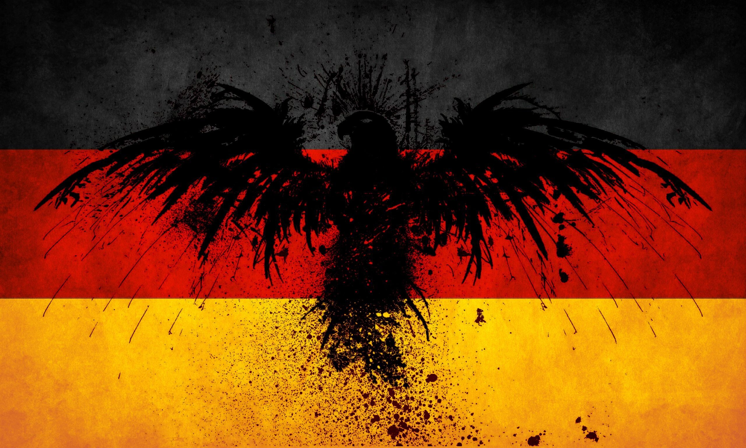 Federal Eagle, Flag of Germany Wallpaper, 2560x1540 HD Desktop