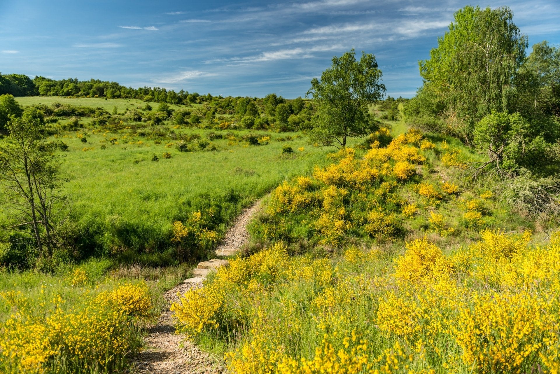 Grassland Eifel national park, Eifel national park, 1920x1290 HD Desktop