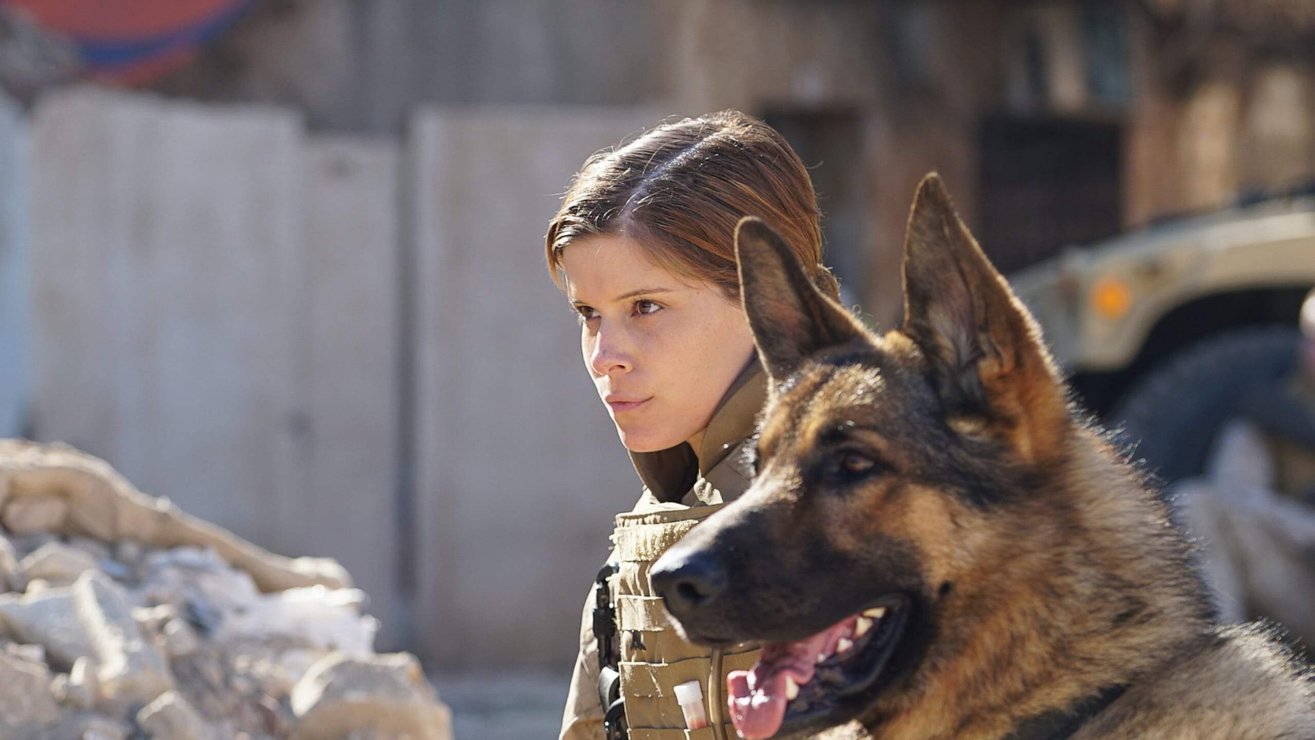 Megan Leavey, Real-life inspiration, Inspiring on-screen, Art house film, 2560x1440 HD Desktop