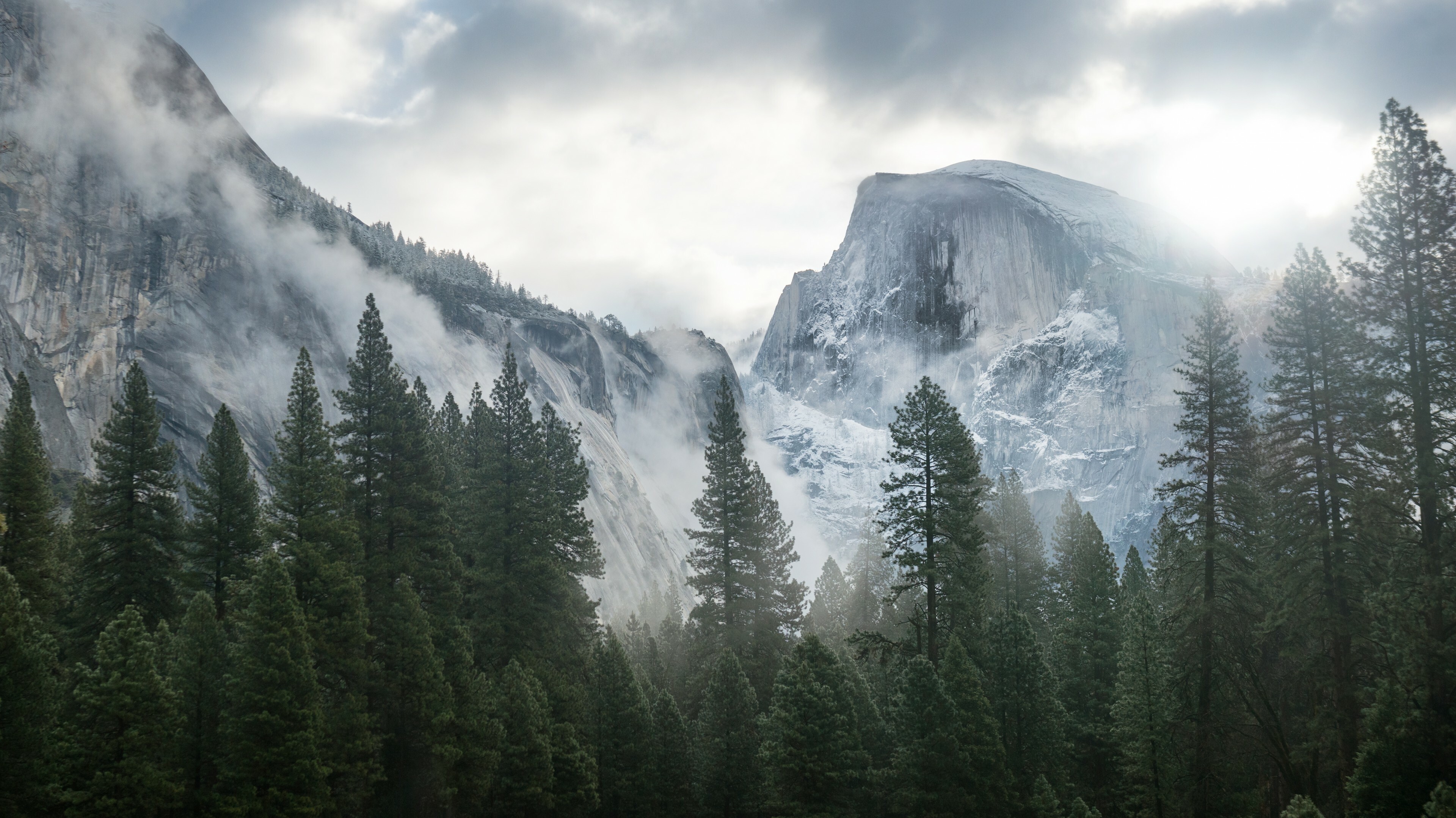 Yosemite, Forests Wallpaper, 3840x2160 4K Desktop