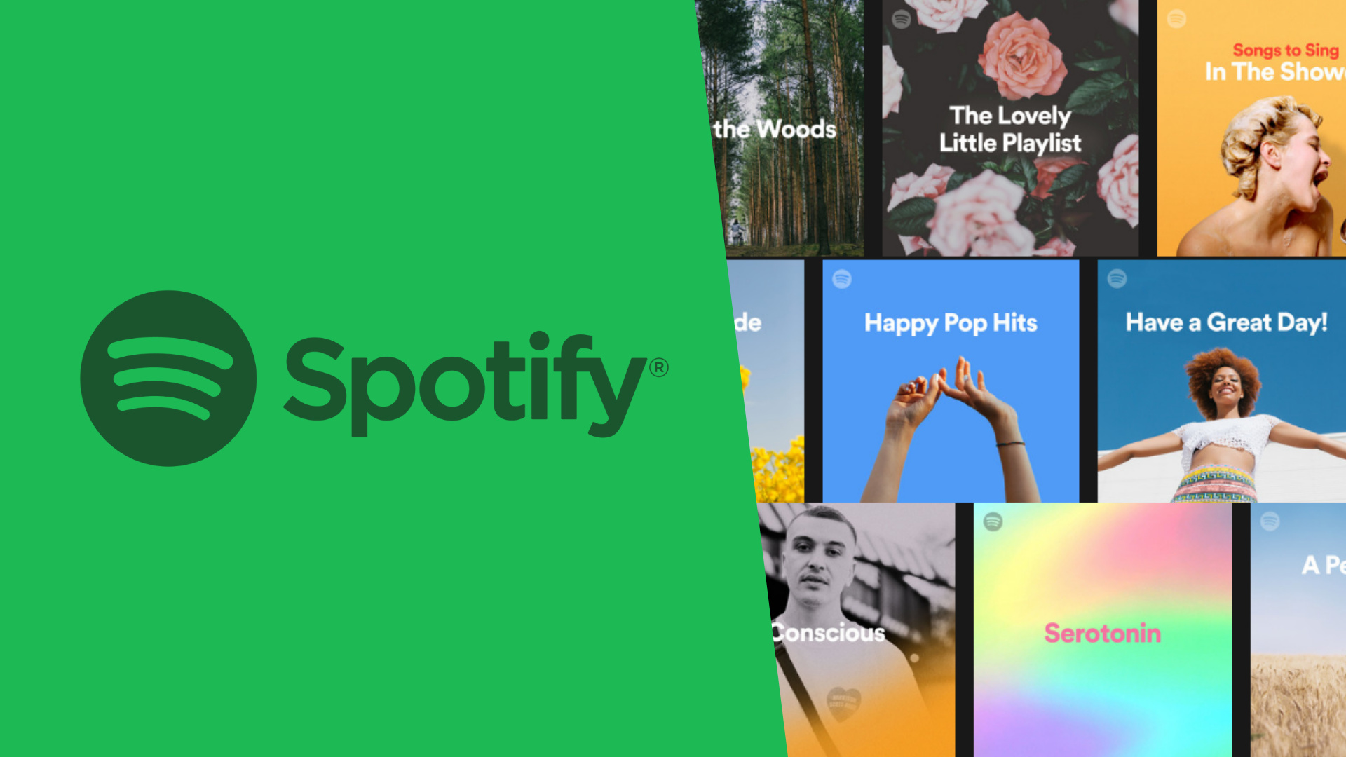 Best Spotify playlists, Curated music collections, Must-listen tracks, Personalized recommendations, 1920x1080 Full HD Desktop