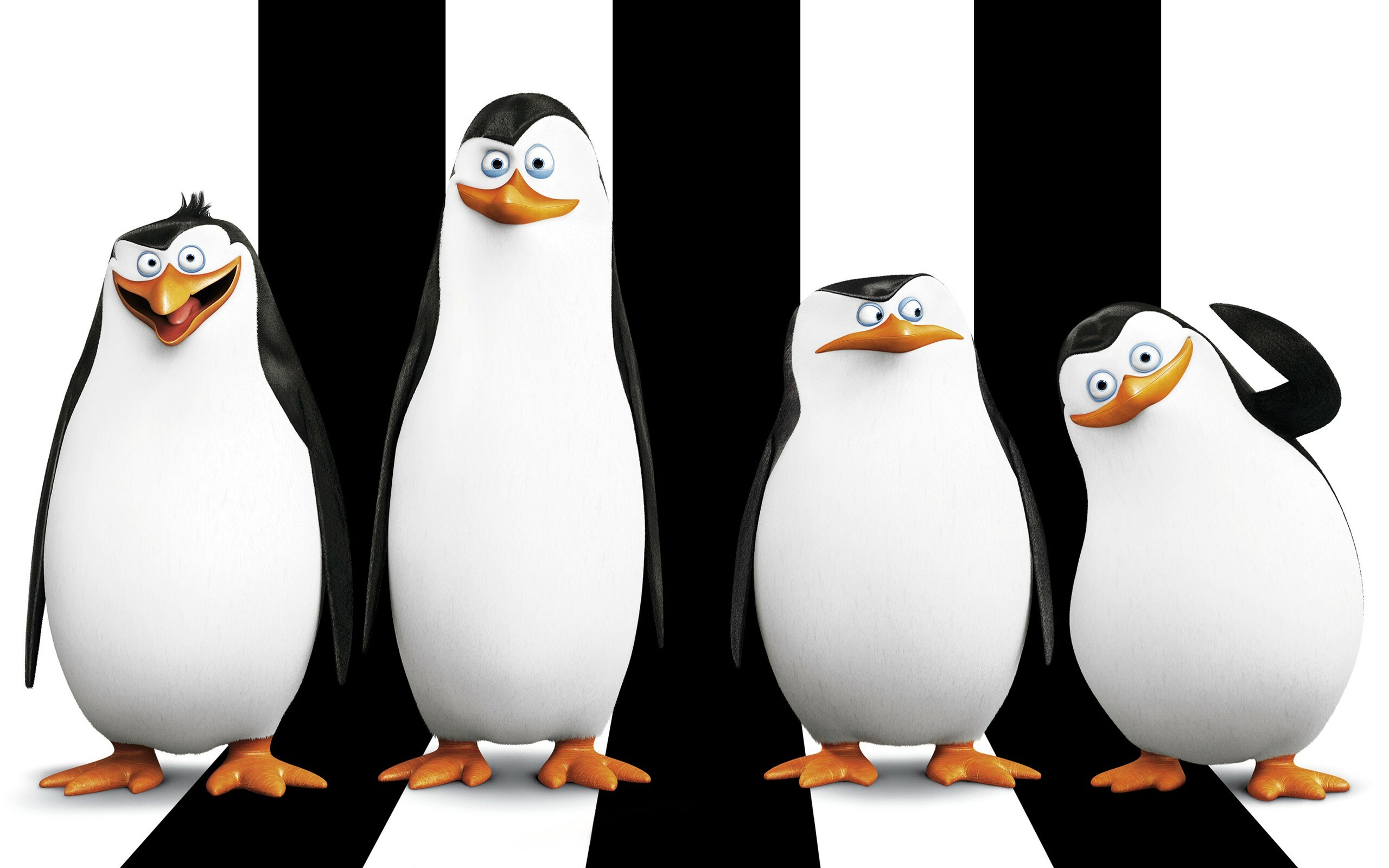 Madagascar, Penguins of Madagascar, Movie desktop, Animated film, 2560x1600 HD Desktop