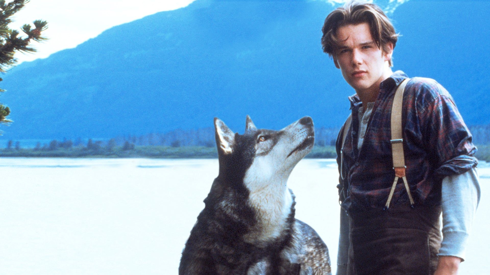 White Fang (Movie), White Fang 1991, Watch, Disney, 1920x1080 Full HD Desktop