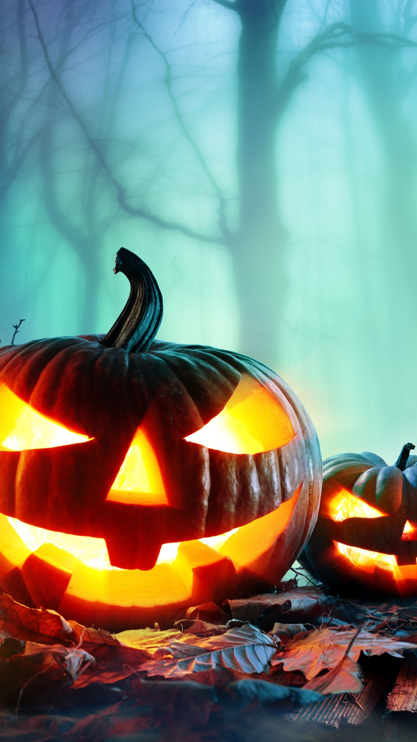 8K Halloween wallpapers, Samsung Galaxy S6, 1440x2560 HD Phone