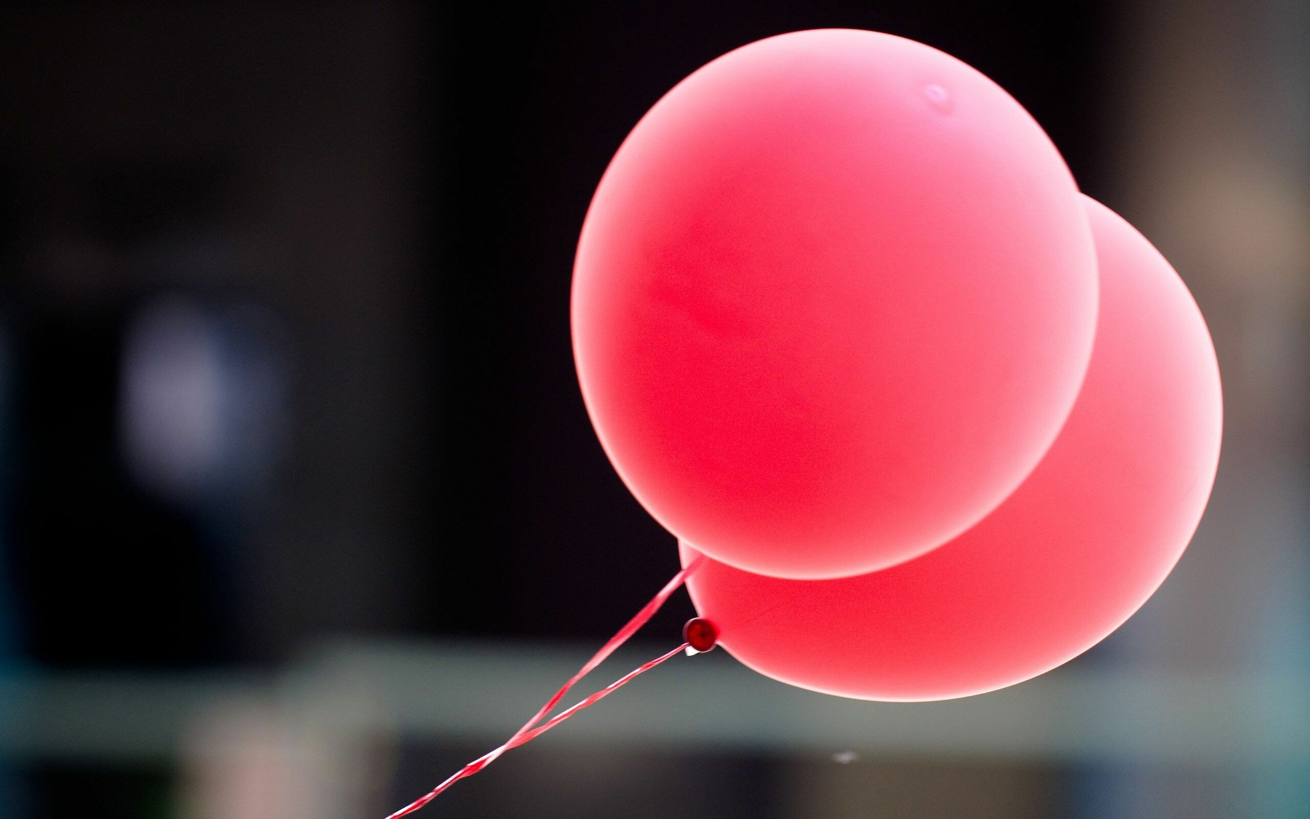 Pink balloons, Balloon mood, Playful atmosphere, Whimsical vibe, 2560x1600 HD Desktop