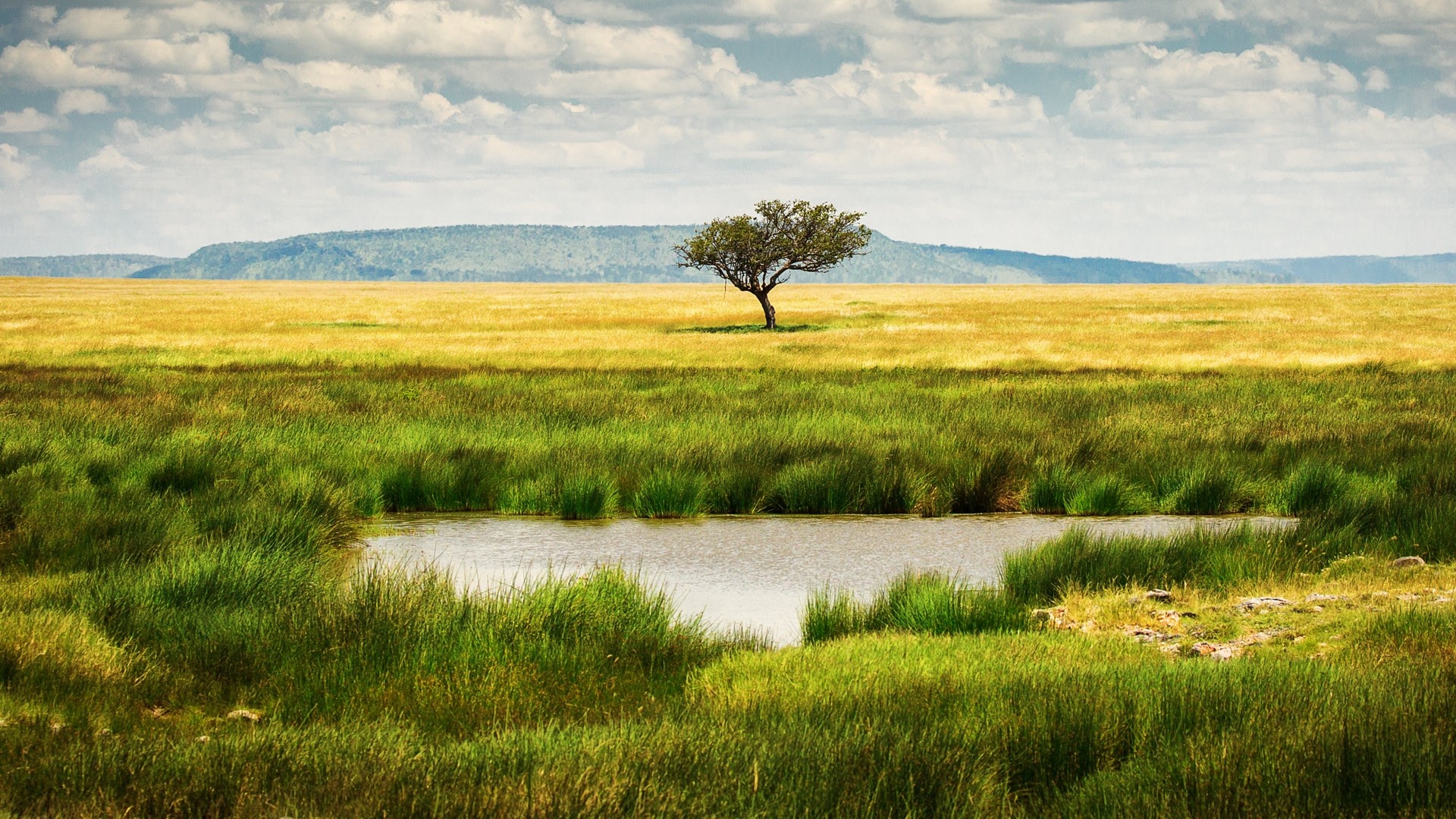 Landscape, Tree, Lake, Tanzania, 1920x1080 Full HD Desktop