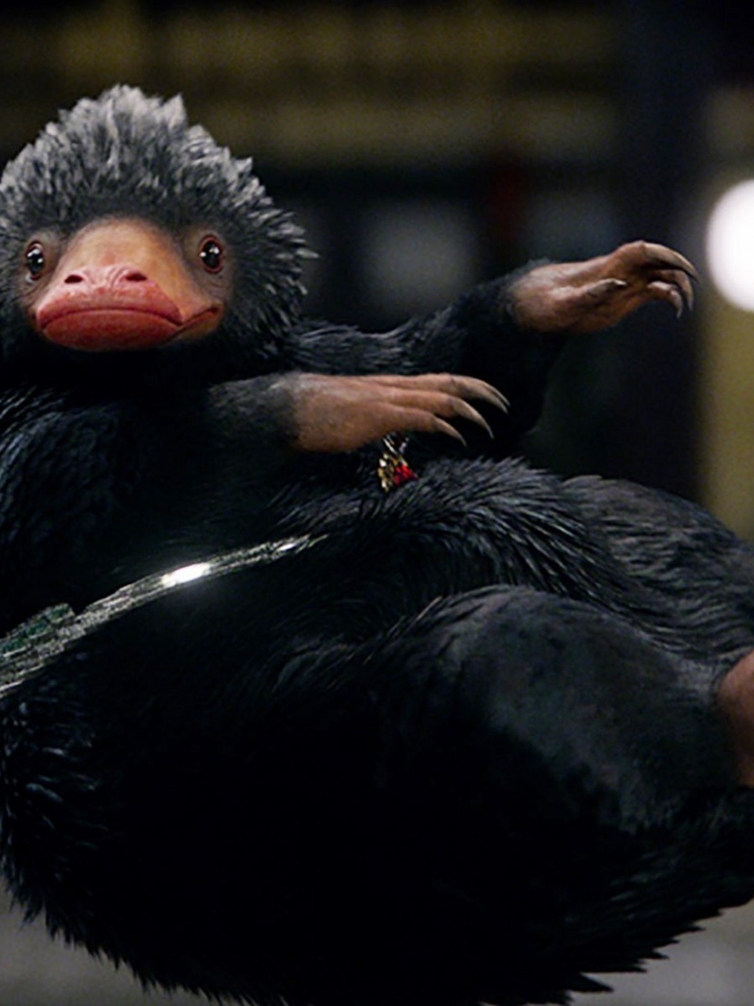 Niffler, Fantastic Beasts, Harry Potter movie, Magical creature, 1540x2050 HD Phone