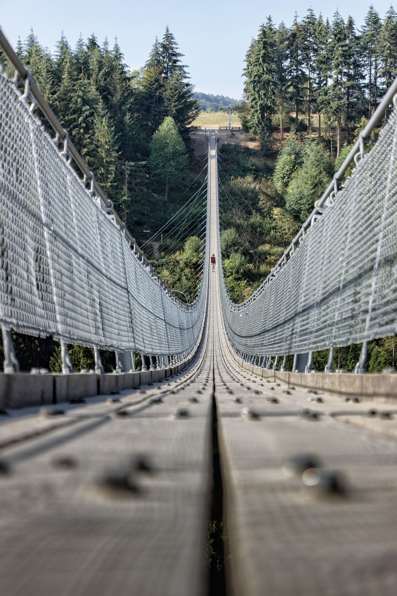 Geierlay Bridge exploration, Bridge travel tips, Scenic pathways, Bridge adventure, 1370x2050 HD Phone