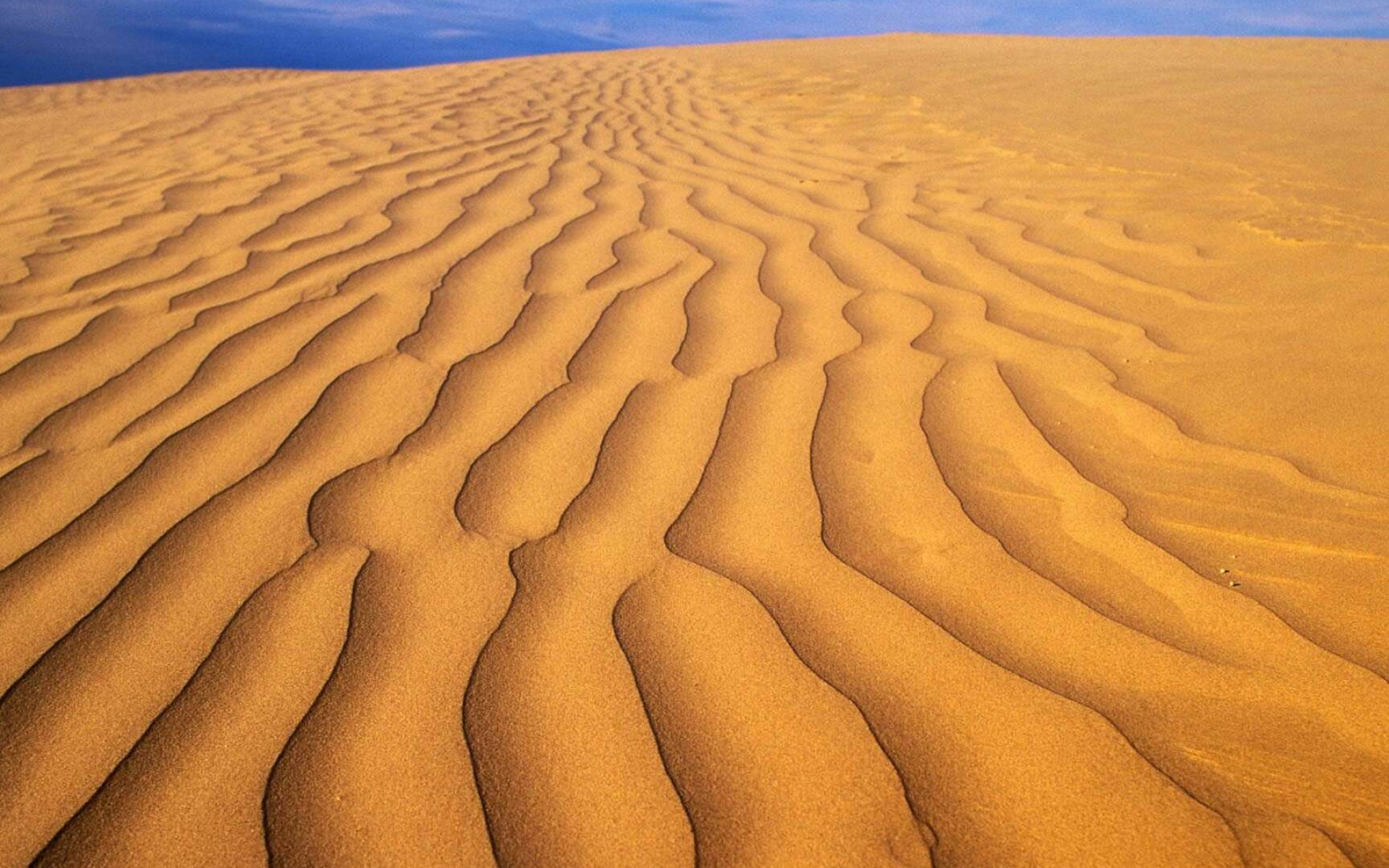 Desert sand background, Wallpaper perfection, Textured beauty, Earthy tones, 1920x1200 HD Desktop