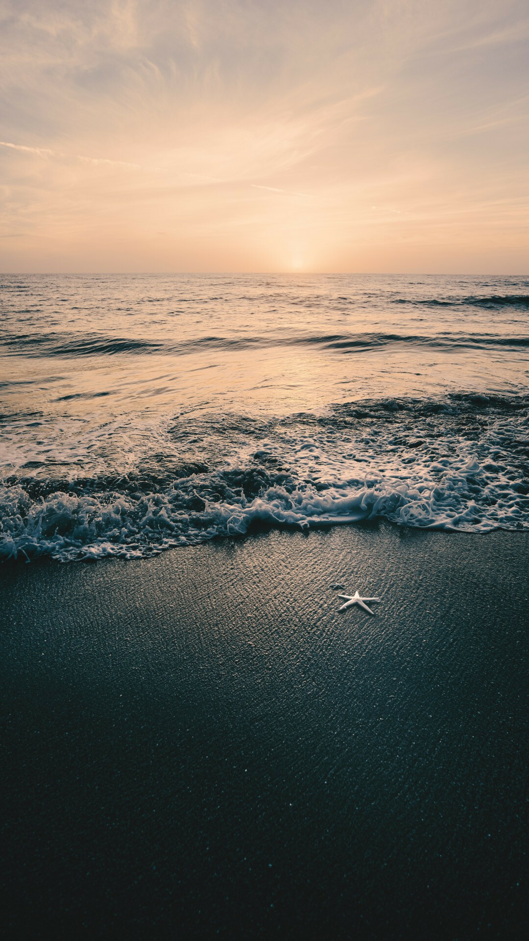 Black sand, Starfish Wallpaper, 1080x1920 Full HD Phone