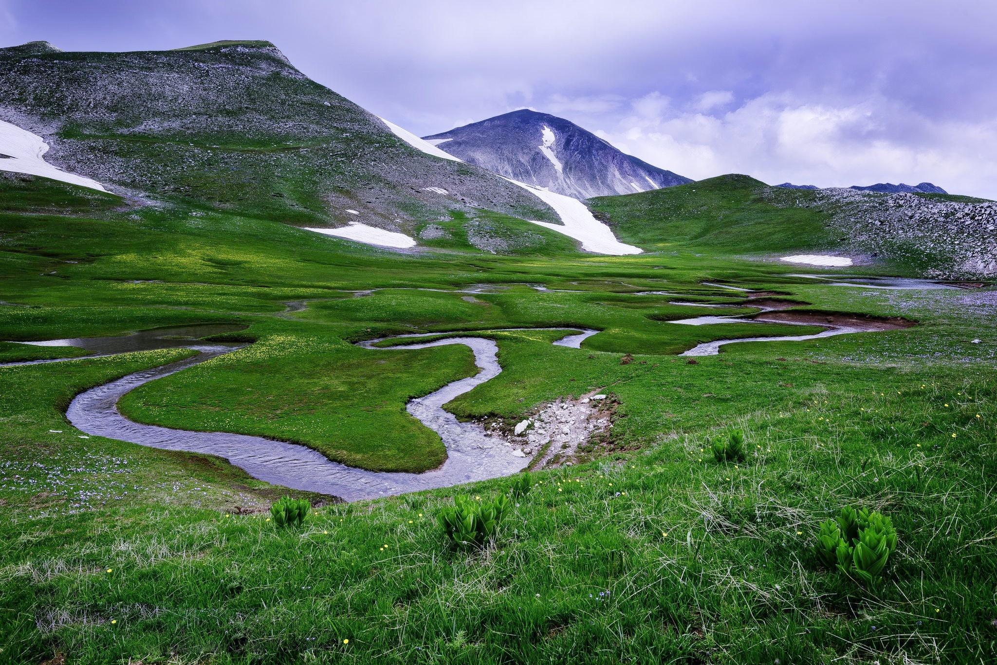 Grassland nature green, HD wallpapers, Colors grass wallpapers, Explore grassland, 2050x1370 HD Desktop