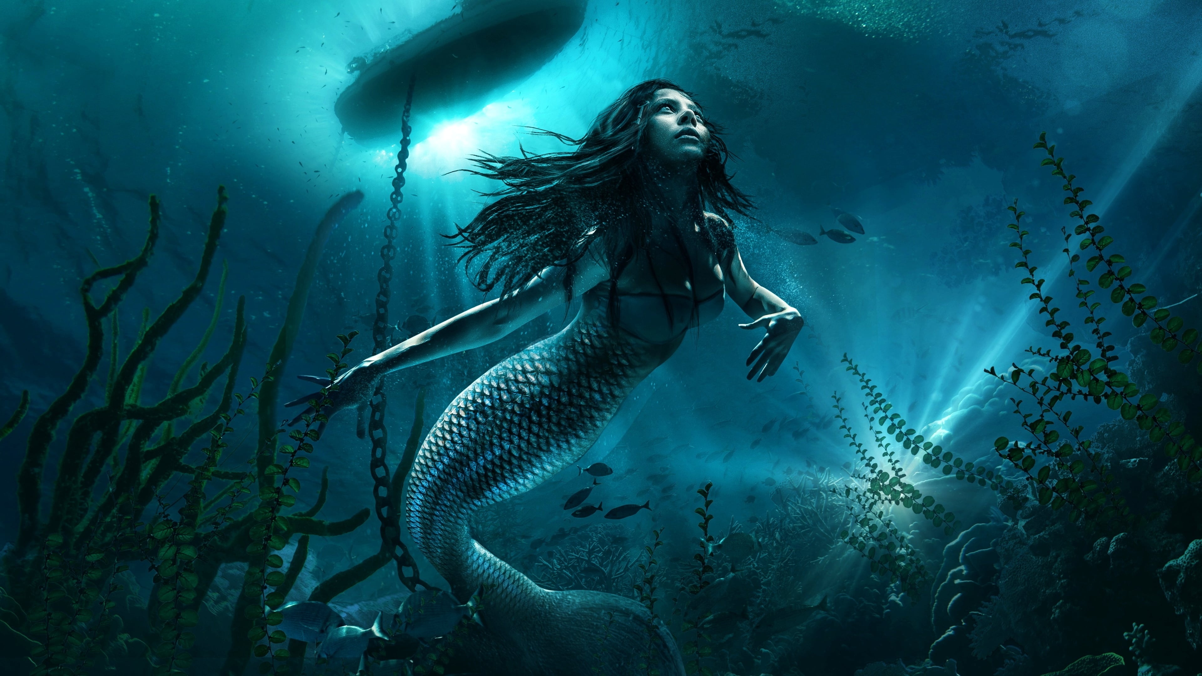 Mermaid Down, Mermaid Wallpaper, 3840x2160 4K Desktop