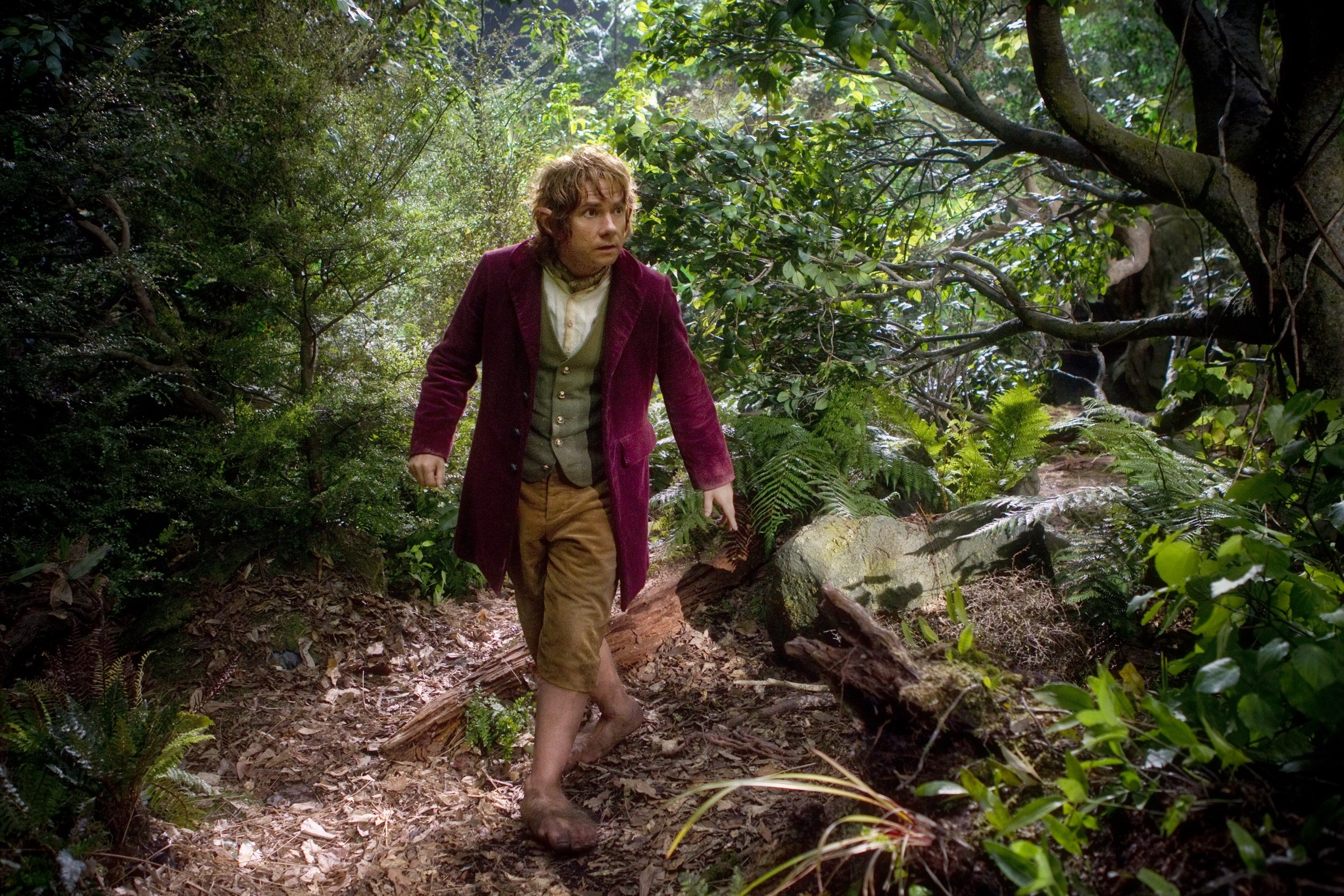 Young Bilbo Baggins, An Unexpected Journey Wallpaper, 3000x2000 HD Desktop