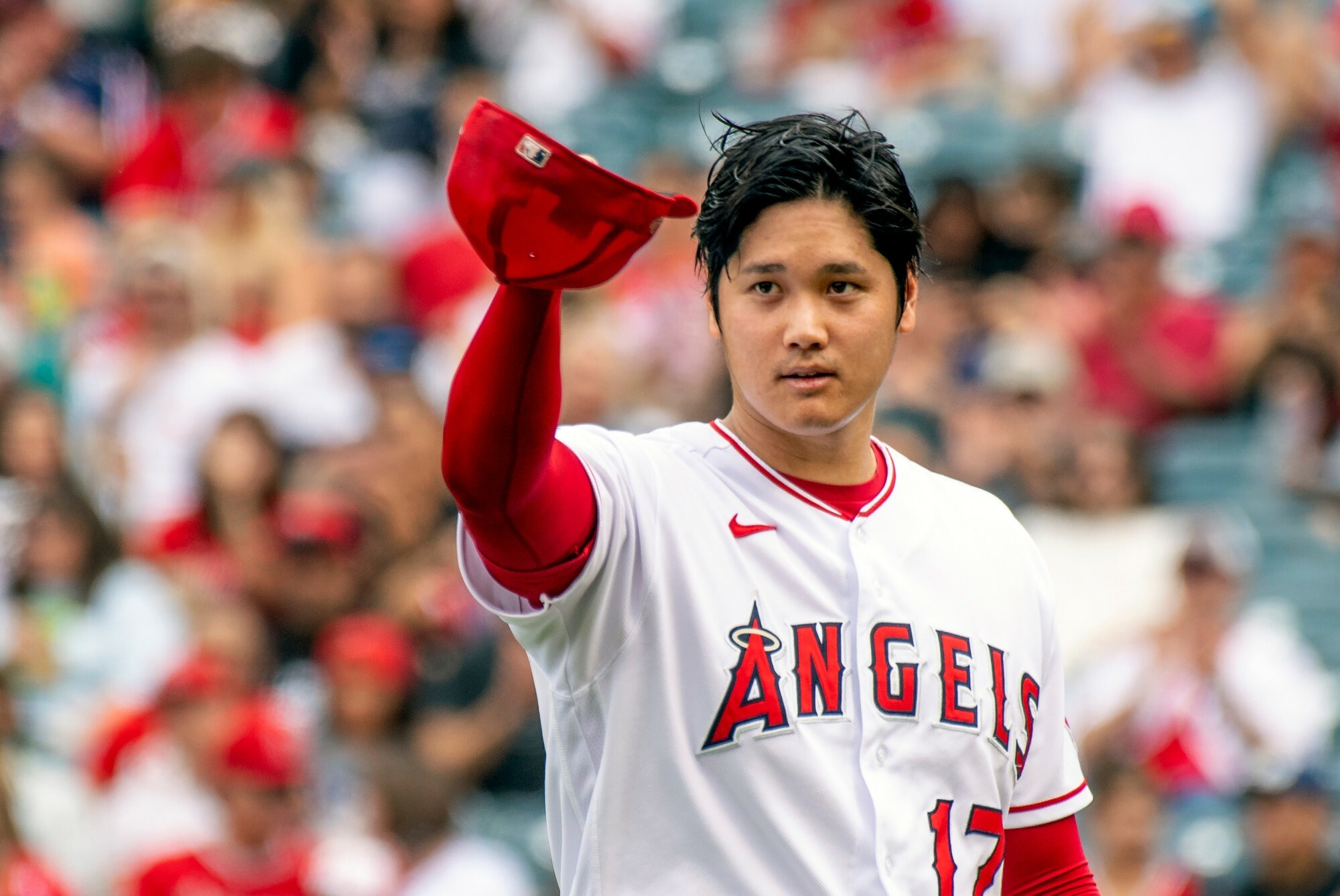 Shohei Ohtani, Rumor mill update, Injury status, Sports coverage, 2000x1340 HD Desktop