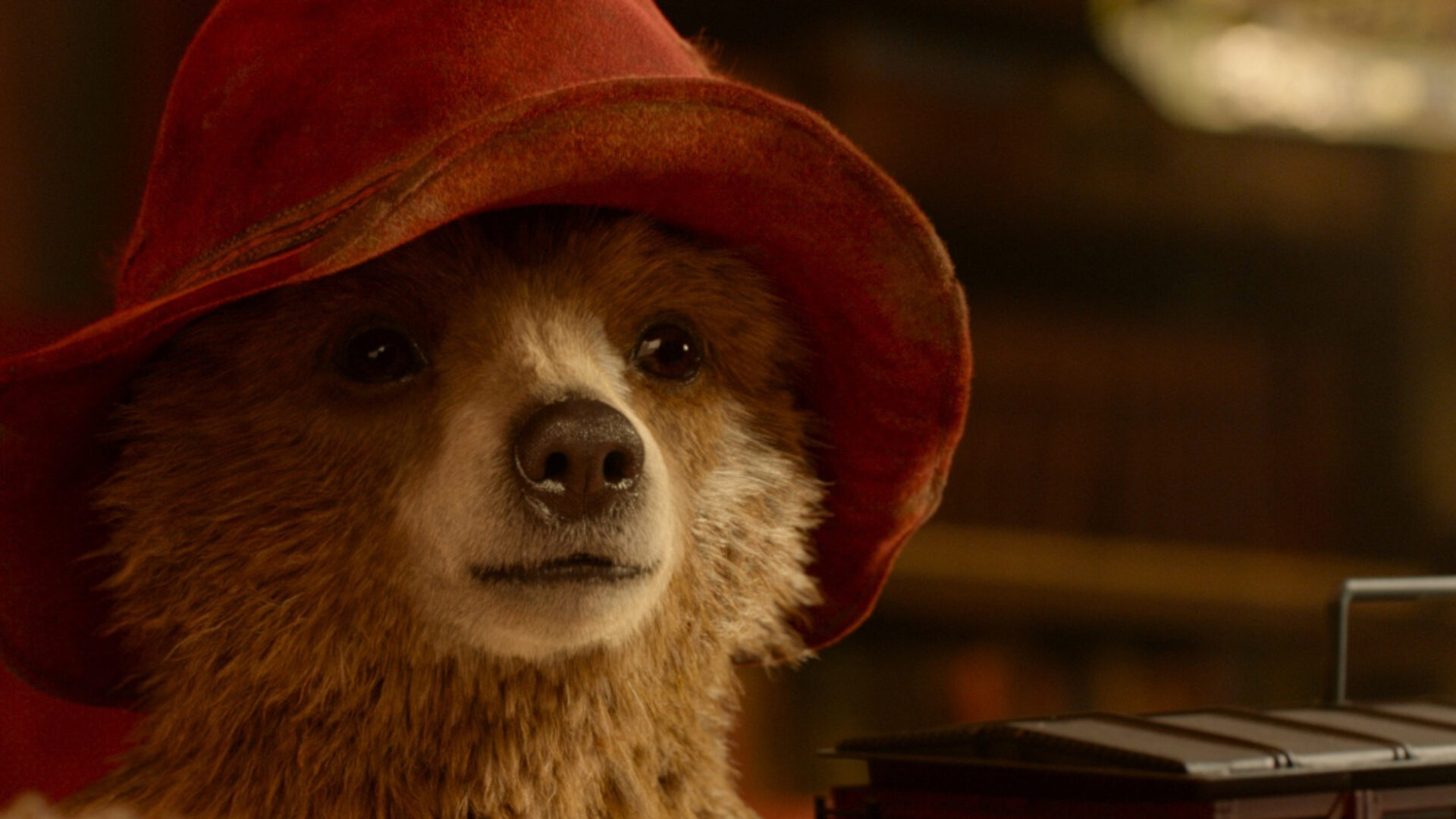 Paddington, 2014 movie, Director Dougal Wilson, Upcoming movie, 1920x1080 Full HD Desktop