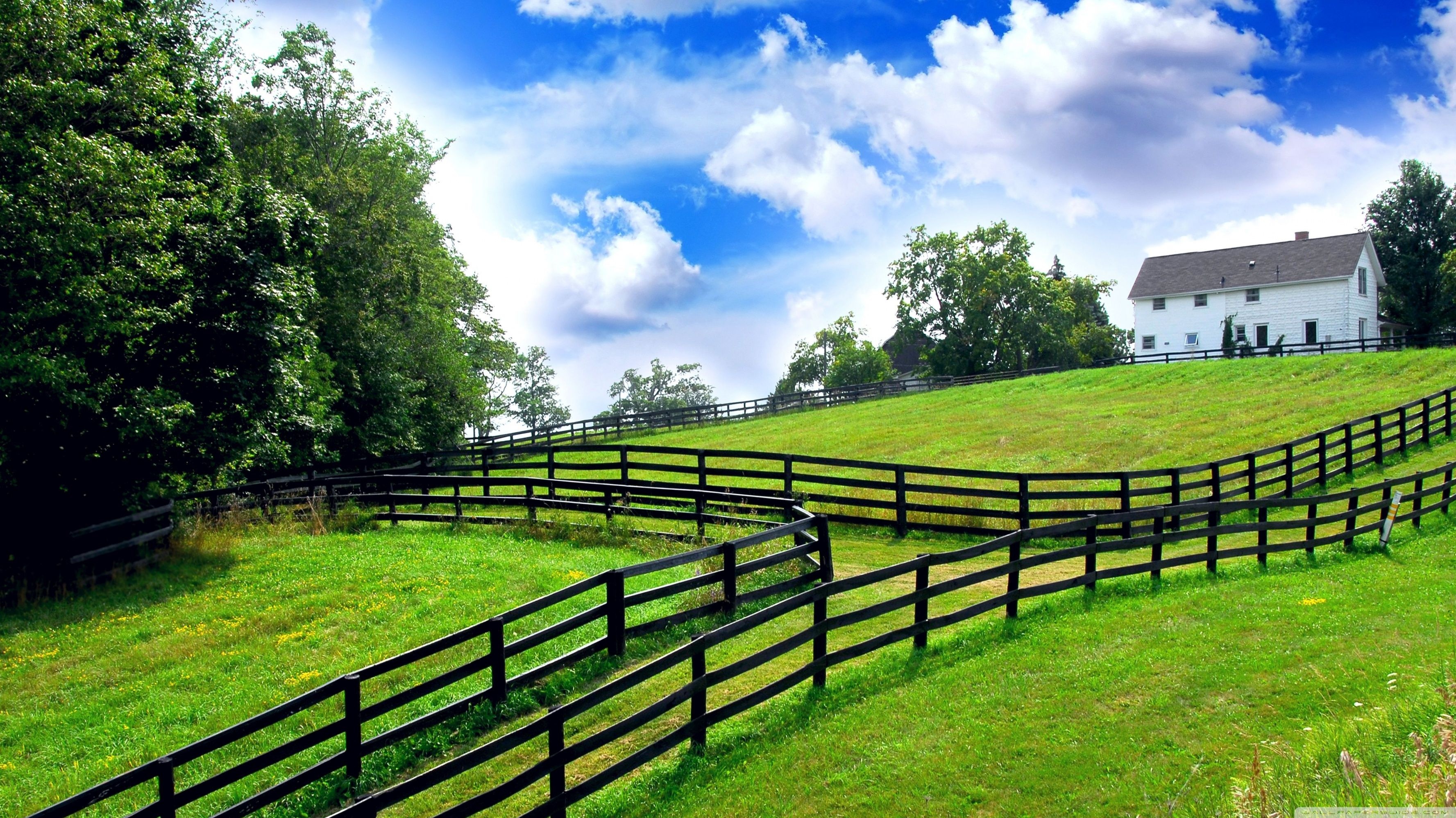 4K farm wallpapers, High-resolution images, Countryside scenery, Farm life, 3560x2000 HD Desktop