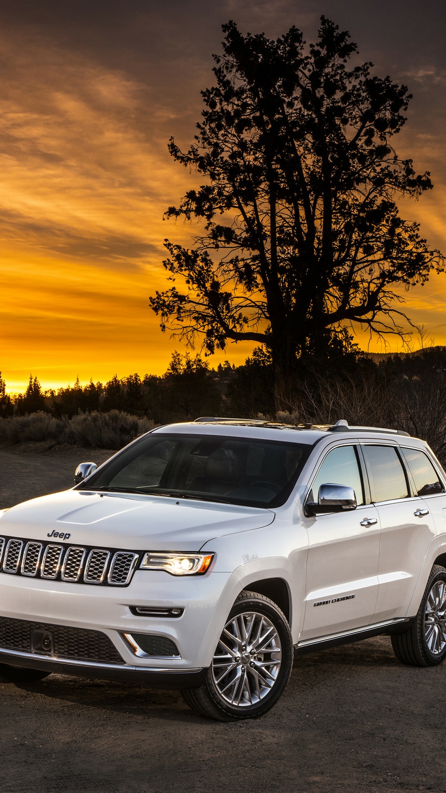 Jeep Grand Cherokee, Summit NYIAS 2016, SUV, bikes, 1440x2560 HD Phone