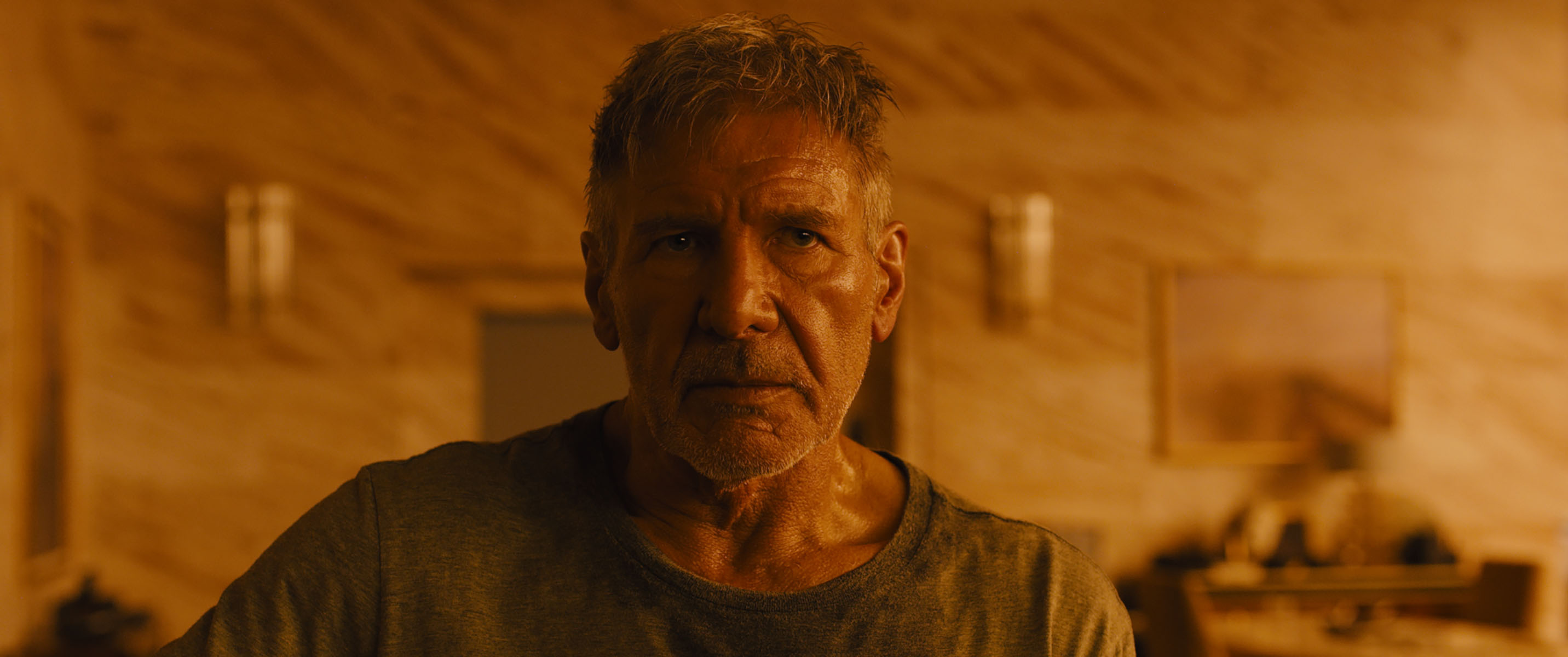 Rick Deckard, Harrison Ford Wallpaper, 2870x1200 Dual Screen Desktop