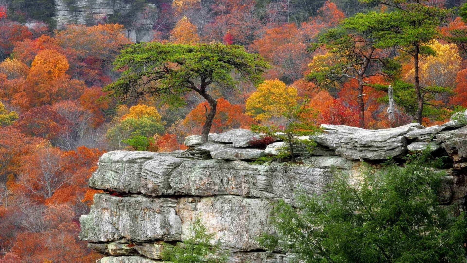 Autumn falls, Tennessee parks, Resort scenery, 1920x1080 Full HD Desktop