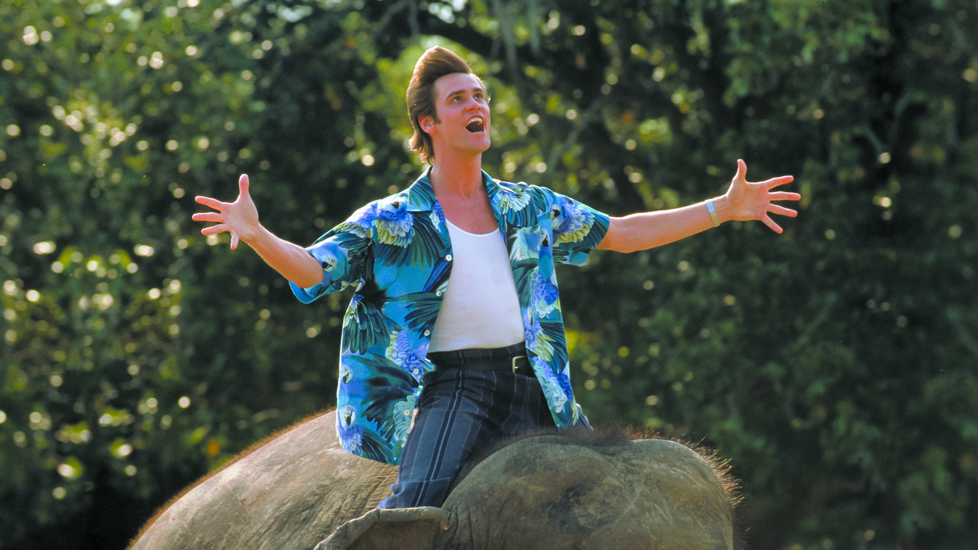 Ace Ventura, Nature calls movie, Fanart, 1920x1080 Full HD Desktop