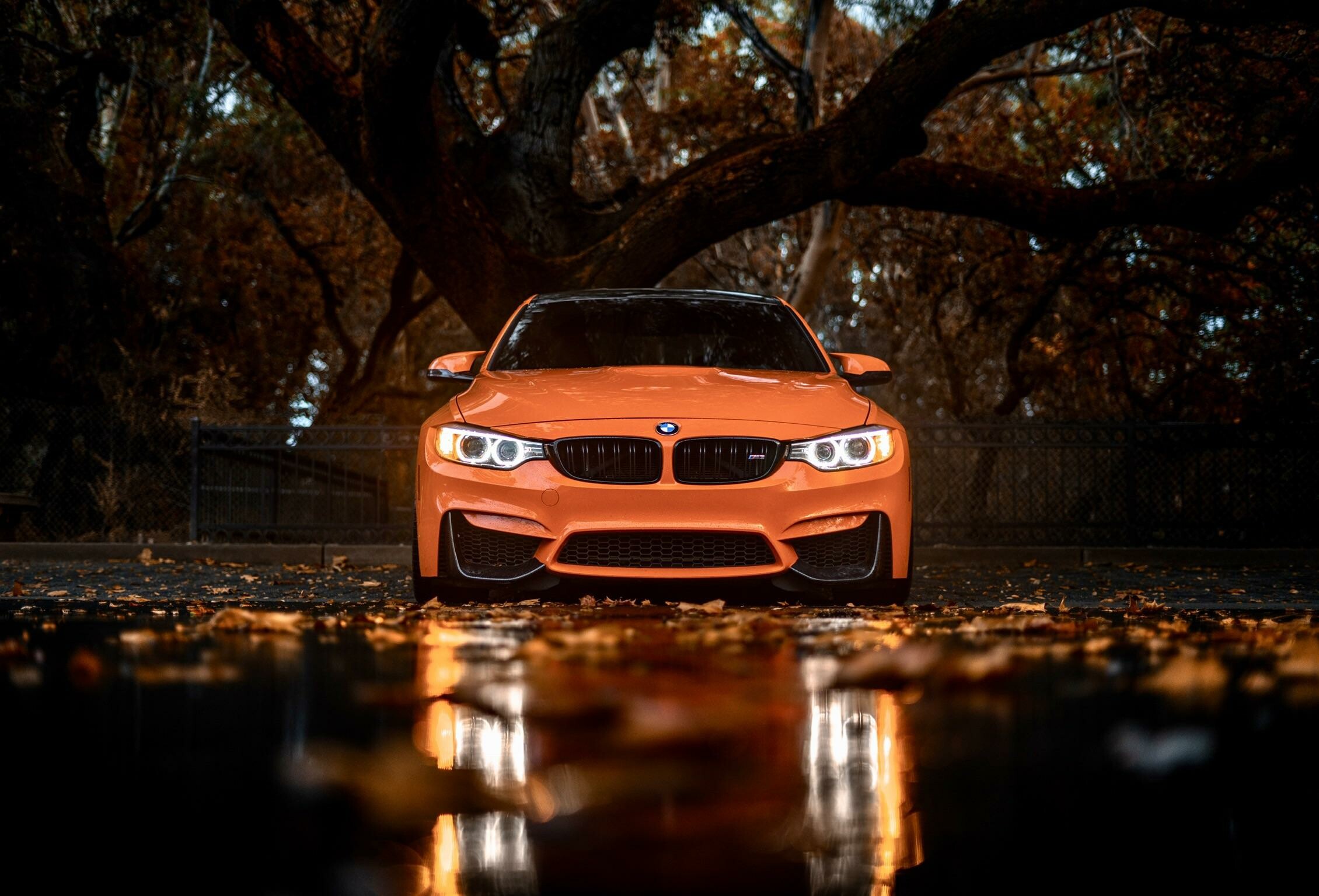 BMW wallpaper, High-quality image, Digital art, 2260x1540 HD Desktop