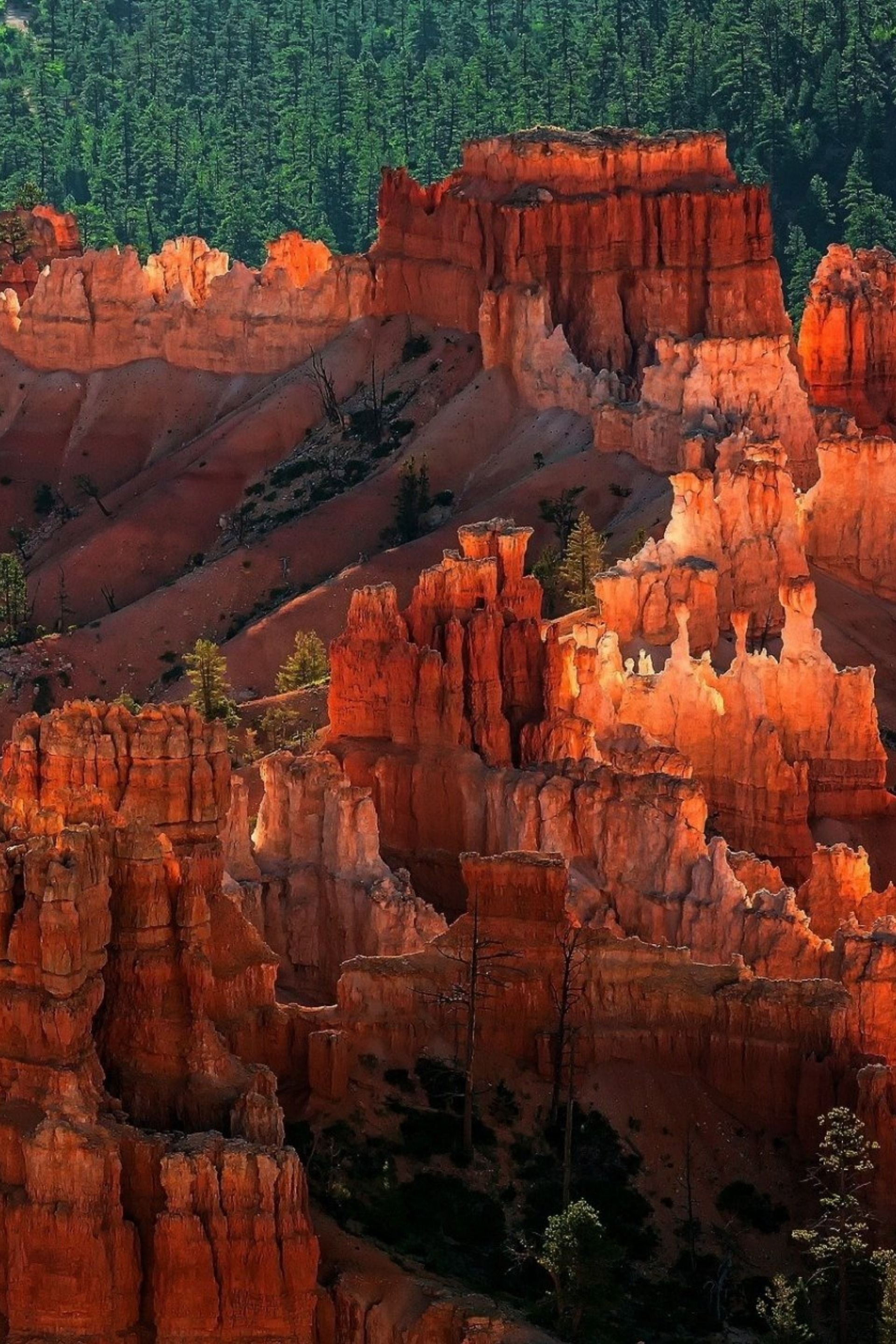 Bryce Canyon National Park, Natural wonders, National park photography, National park exploration, 1920x2880 HD Phone