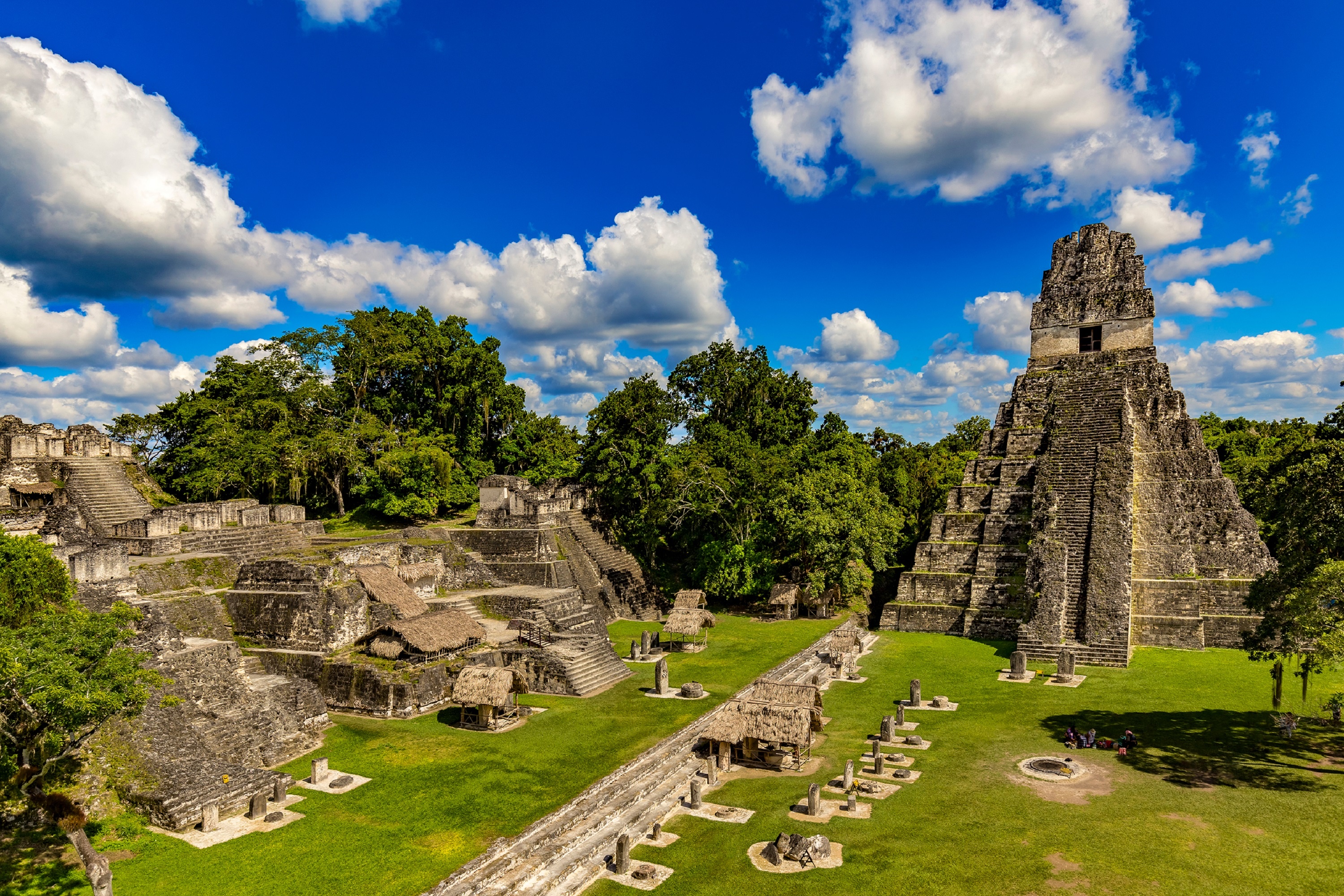 Birdwatching, Guatemala, Enchanting travels, 3000x2000 HD Desktop