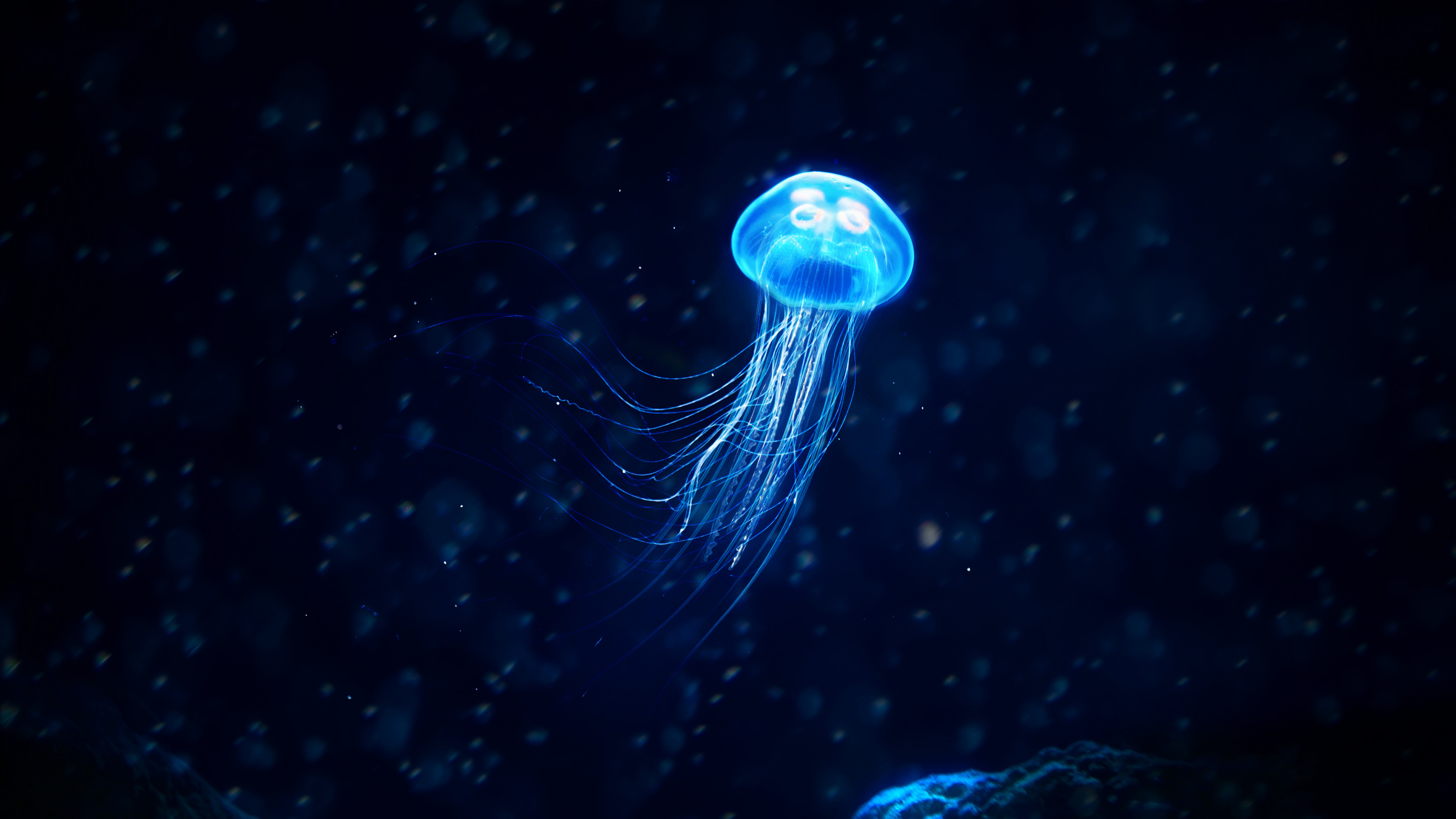 Glowing, Jellyfish Wallpaper, 3840x2160 4K Desktop