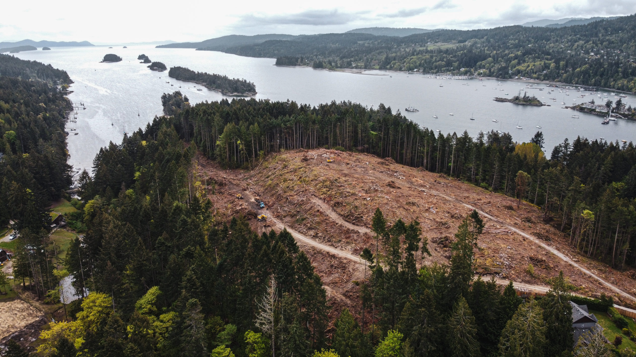 Salt Spring Island, Canadian travels, Logging noise, Gulf Islands driftwood, 2560x1440 HD Desktop