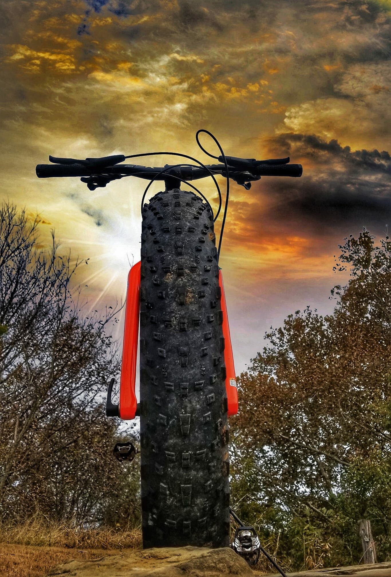 Fat tire, Trek Bikes Wallpaper, 1370x2020 HD Phone