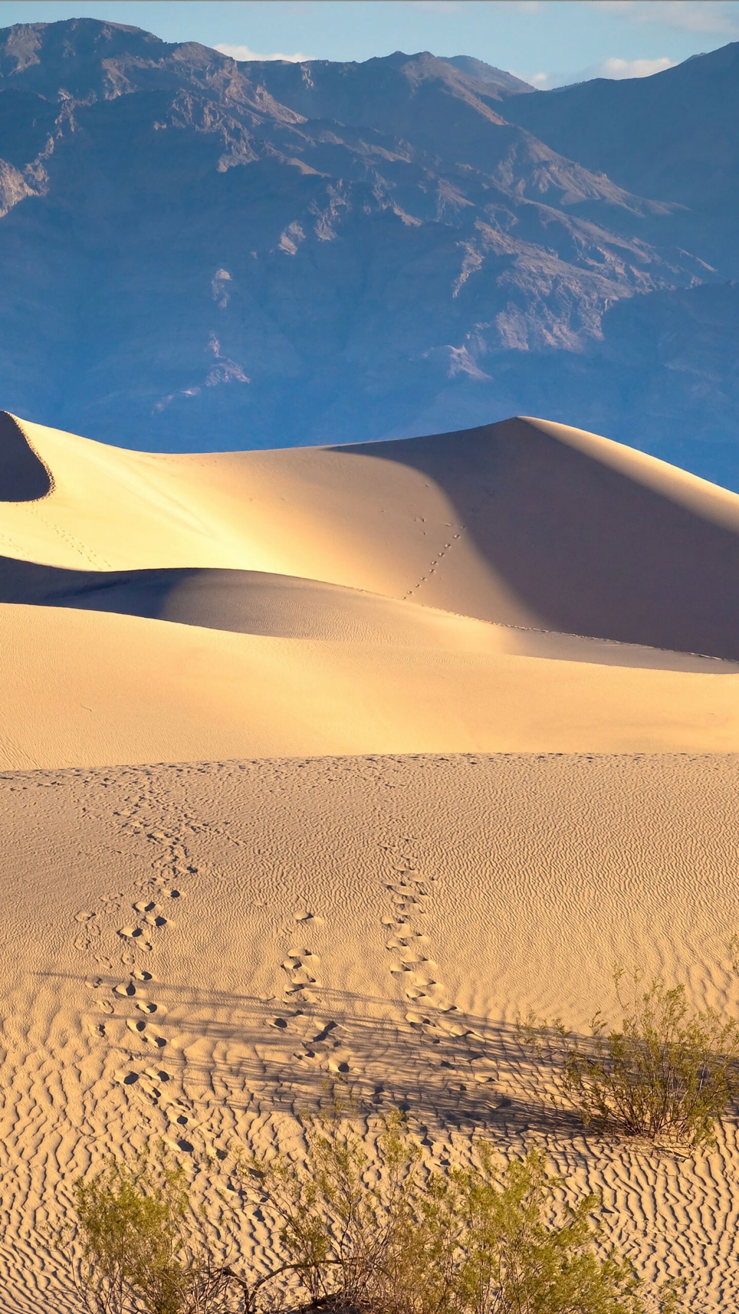 Death Valley, Majestic mountains, Desert sand, Serene beauty, 1440x2560 HD Phone