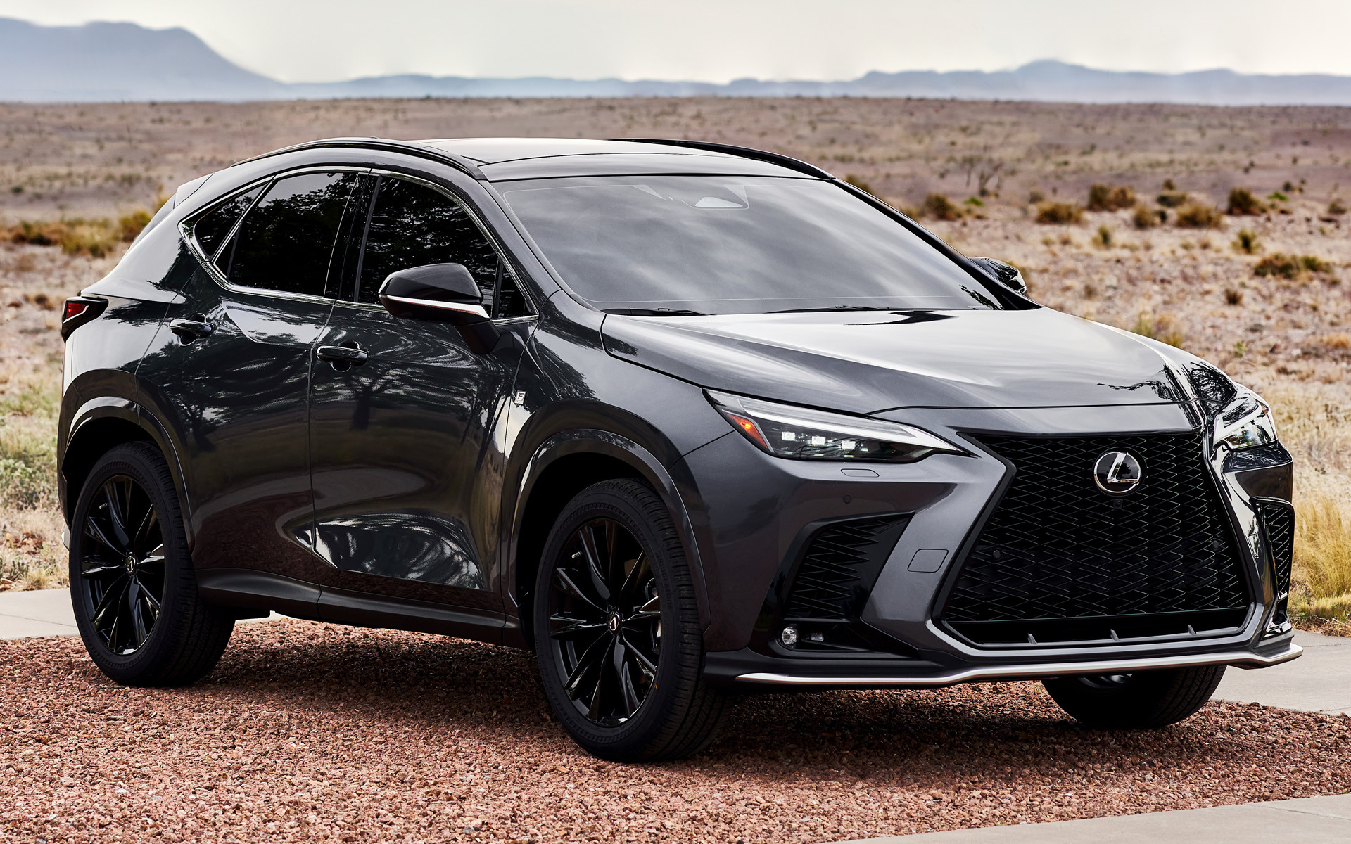 F Sport 2022, Lexus NX Wallpaper, 1920x1200 HD Desktop