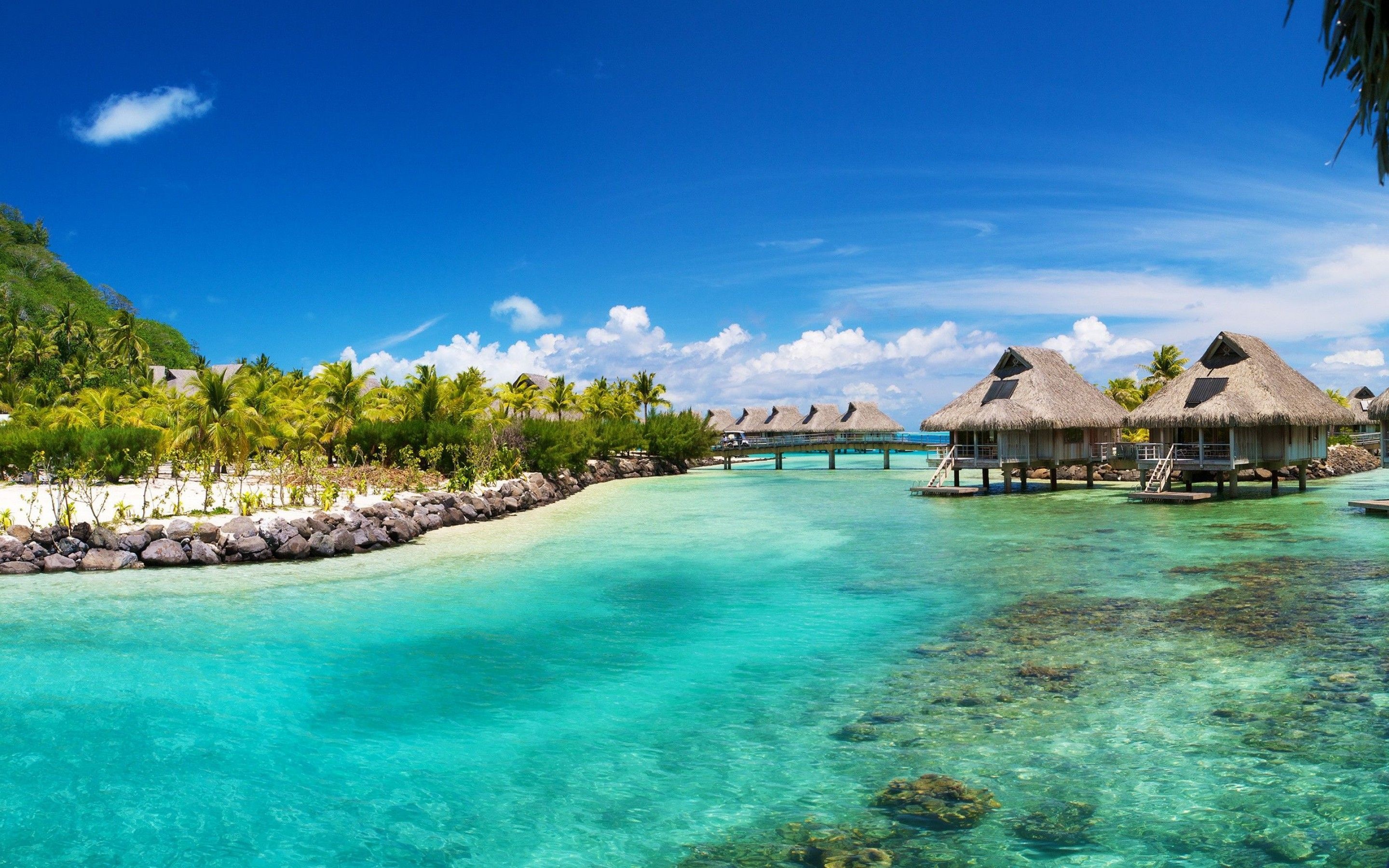 4K HD screen wallpapers, Bora Bora screen backgrounds, Tranquil island views, Tropical escape, 2880x1800 HD Desktop