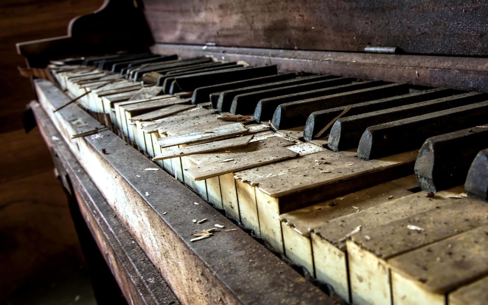 Grand Piano, Abandoned beauty, Whispering echoes, Captivating solitude, 1920x1200 HD Desktop