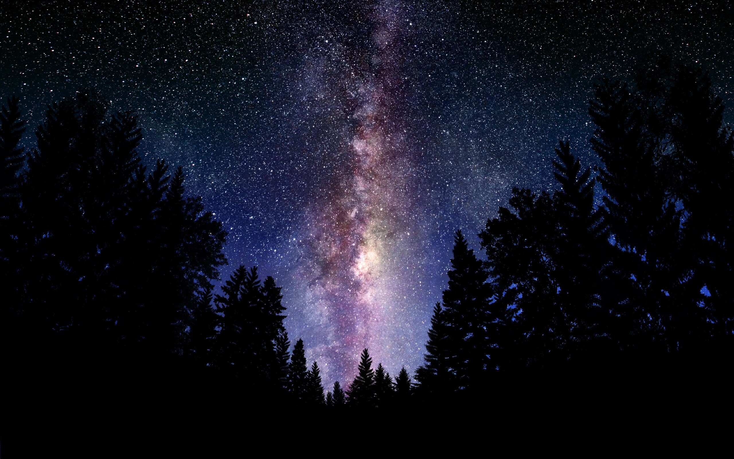 Forest, Milky Way Wallpaper, 2560x1600 HD Desktop