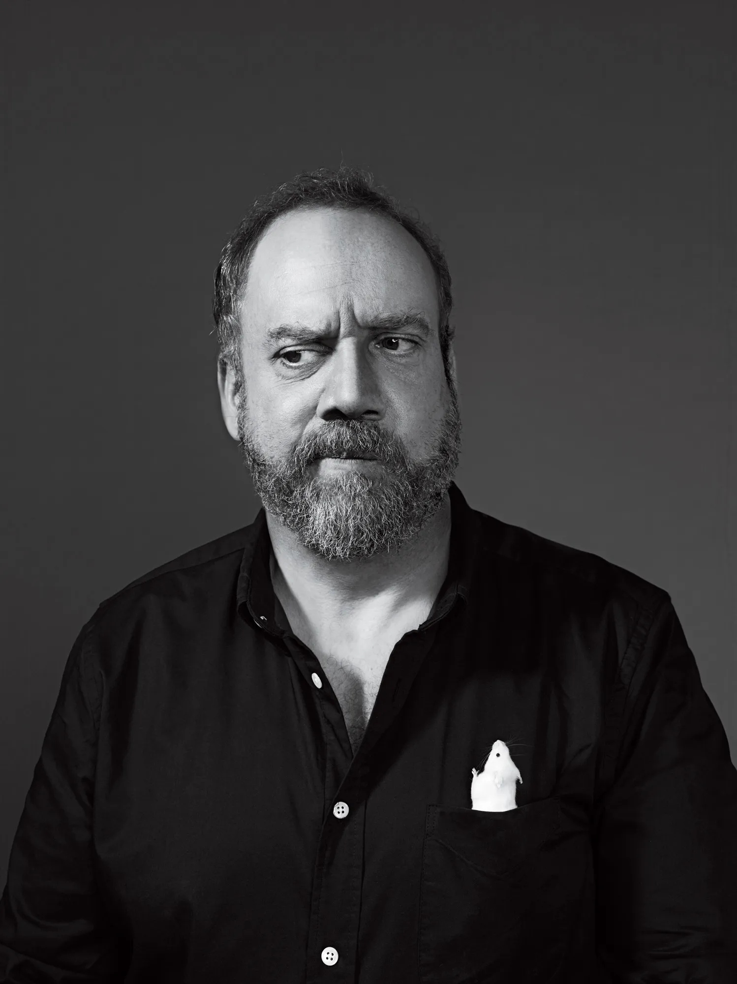 Paul Giamatti, Nominated, Everything, GQ, 1500x2000 HD Phone