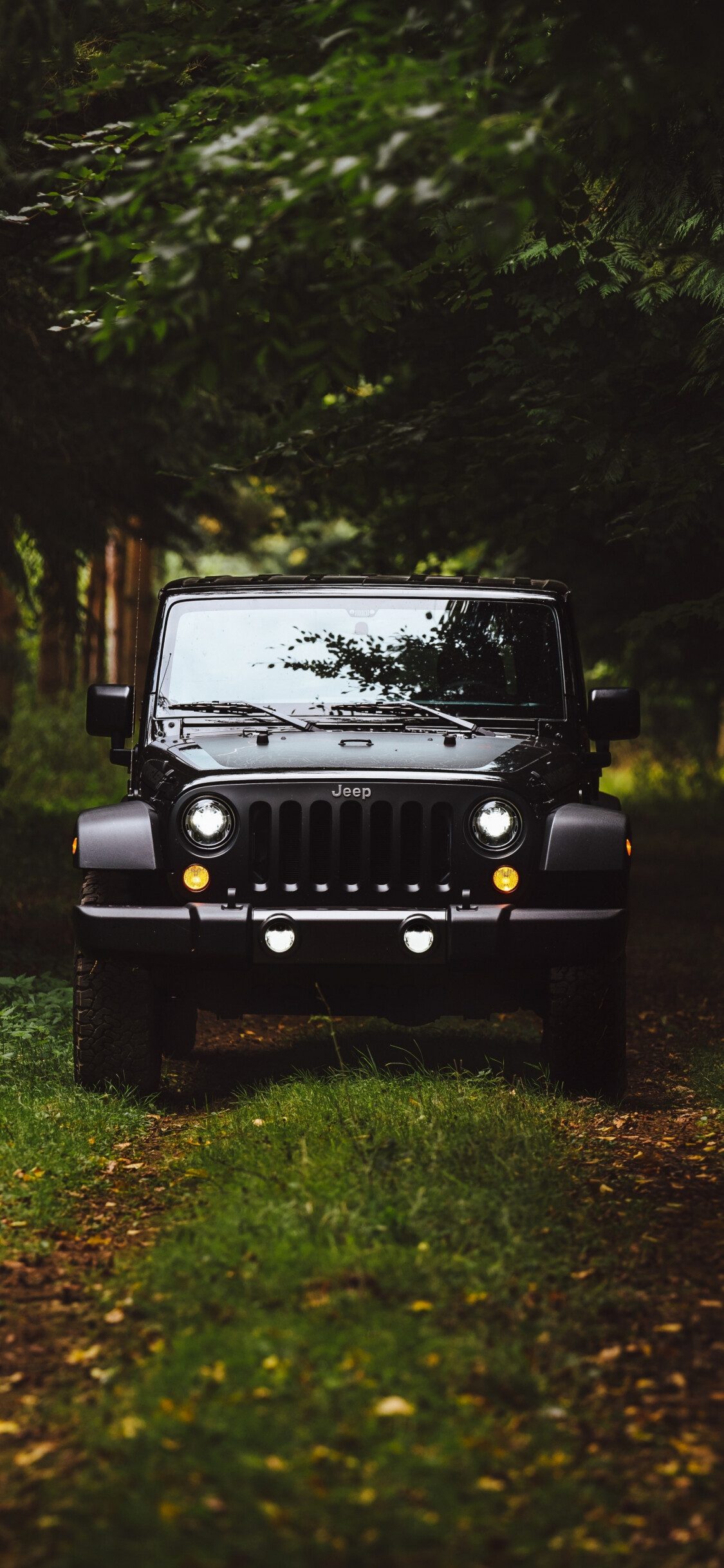 Black Jeep Forest Wrangler wallpaper, Stealthy beast, Nature's playground, Unstoppable force, 1130x2440 HD Phone